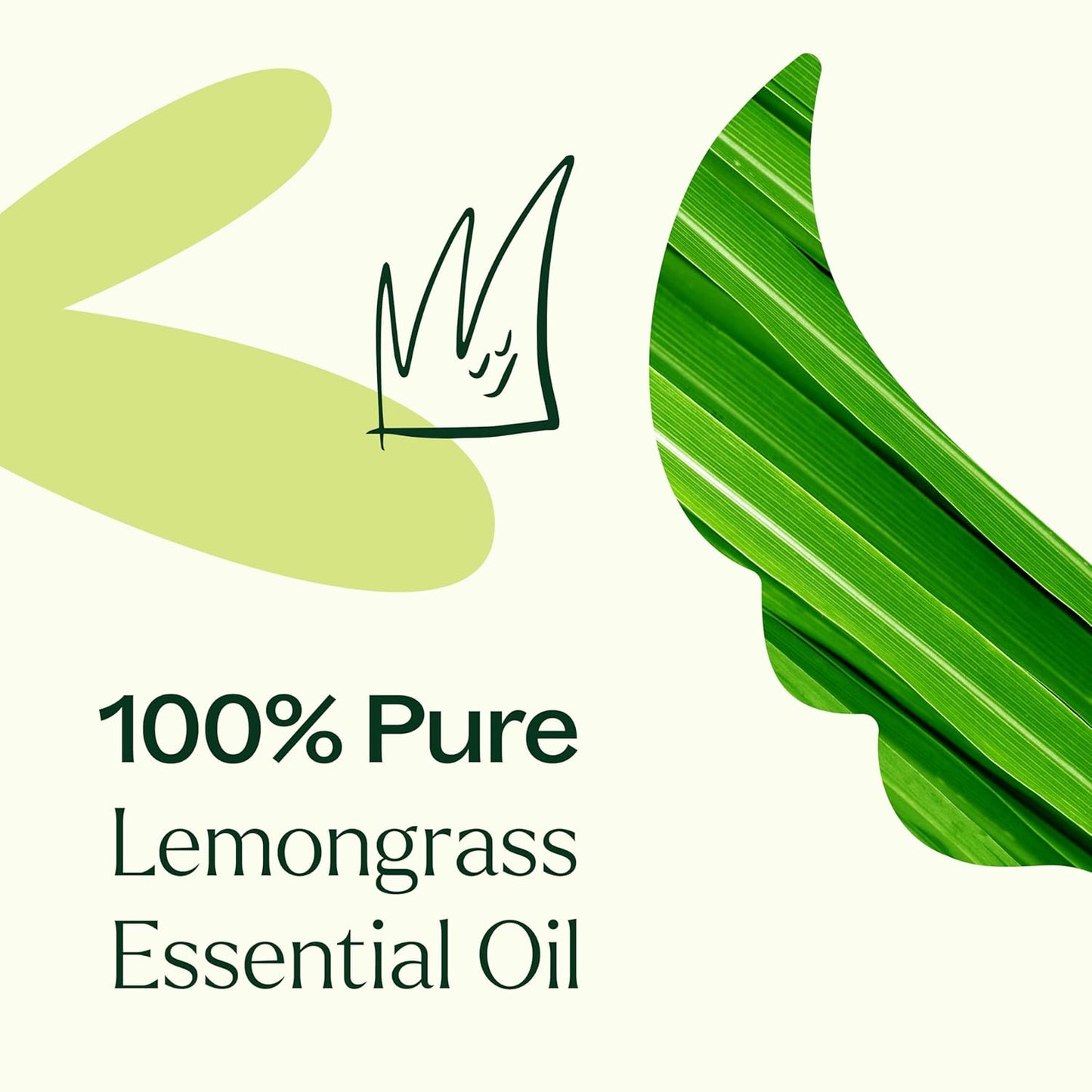 Plant Therapy Organic Lemongrass Essential Oil 100% Pure, USDA Certified Organic, Undiluted, Natural Aromatherapy, Therapeutic Grade 30 mL (1 oz)