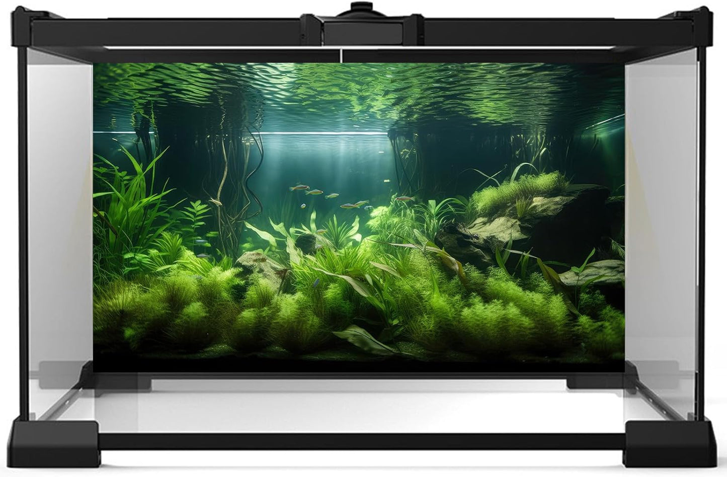 Aquarium Background Lush Green Aquatic Plants and Seagrasses Terrarium Background Under The Sea View With Rock Sands Fish Tank Background Amazing Aquarium Backdrop Background Poster Vinyl 36x18in