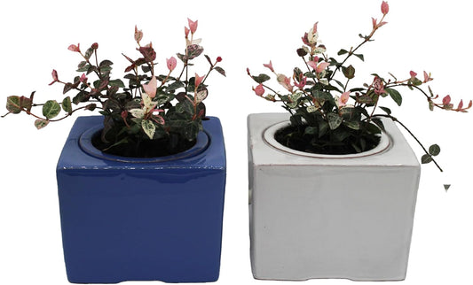 2-Pack Ceramic African Violet Self Watering Pot 6 Inch Square Pot 3.5 Inch Innter Pot Easy Fill Water Reservoir White Blue