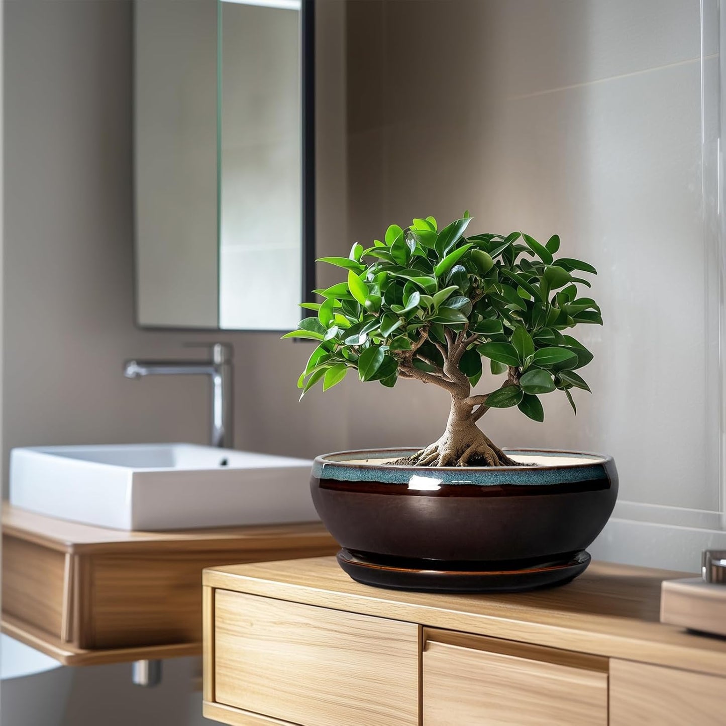 SQOWL Bonsai Tree Pots - 10 Inch Ceramic Succulent Pots with Drainage Hole and Saucer, Round Shallow Plant Pot Indoor Outdoor, Ceramic Bonsai Pot, Bowl Planter, Home Decor, Garden Gifts, Blue-Brown