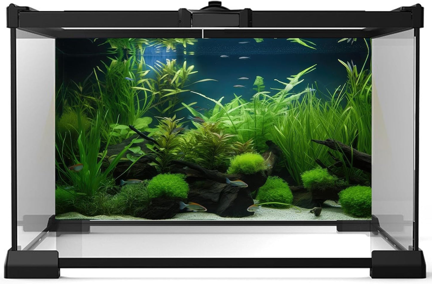 Aquarium Background Diverse Collection of Aquatic Plants Seagrasses Terrarium Background Redwood Root Moss Tropical Style Underwater Plants Fish Tank Background Under The Sea Aquarium Backdrop 72x16in