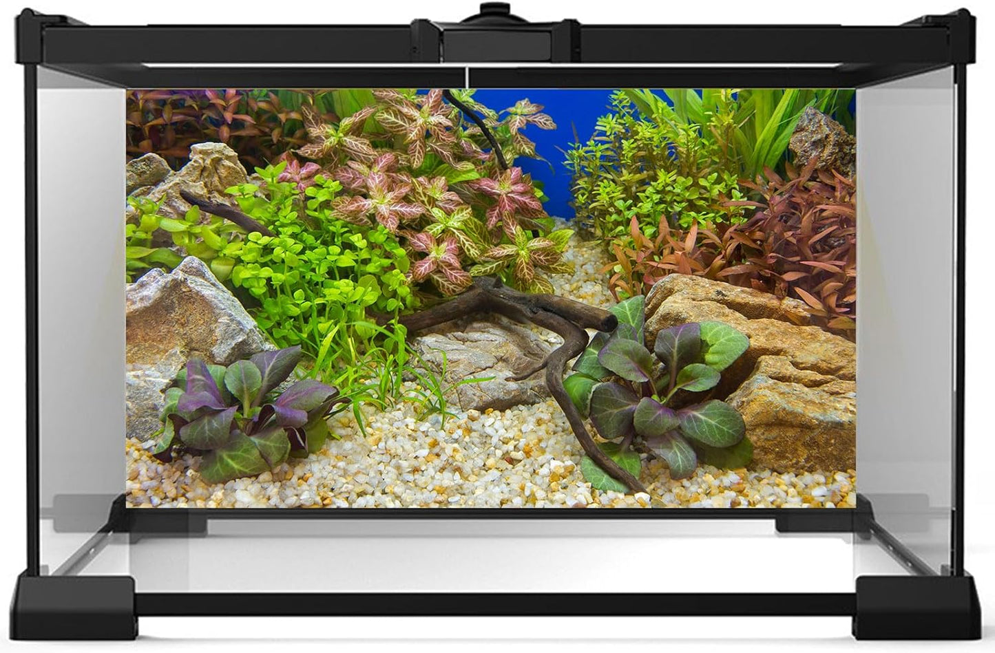 Aquarium Background Various Underwater Grass Plants Aquarium Backdrop Vivid and Fresh Green Aquatic Plants Stone Pebble River Bed and Dead Wood Purple Leaves Tank Background Vinyl 48x18in