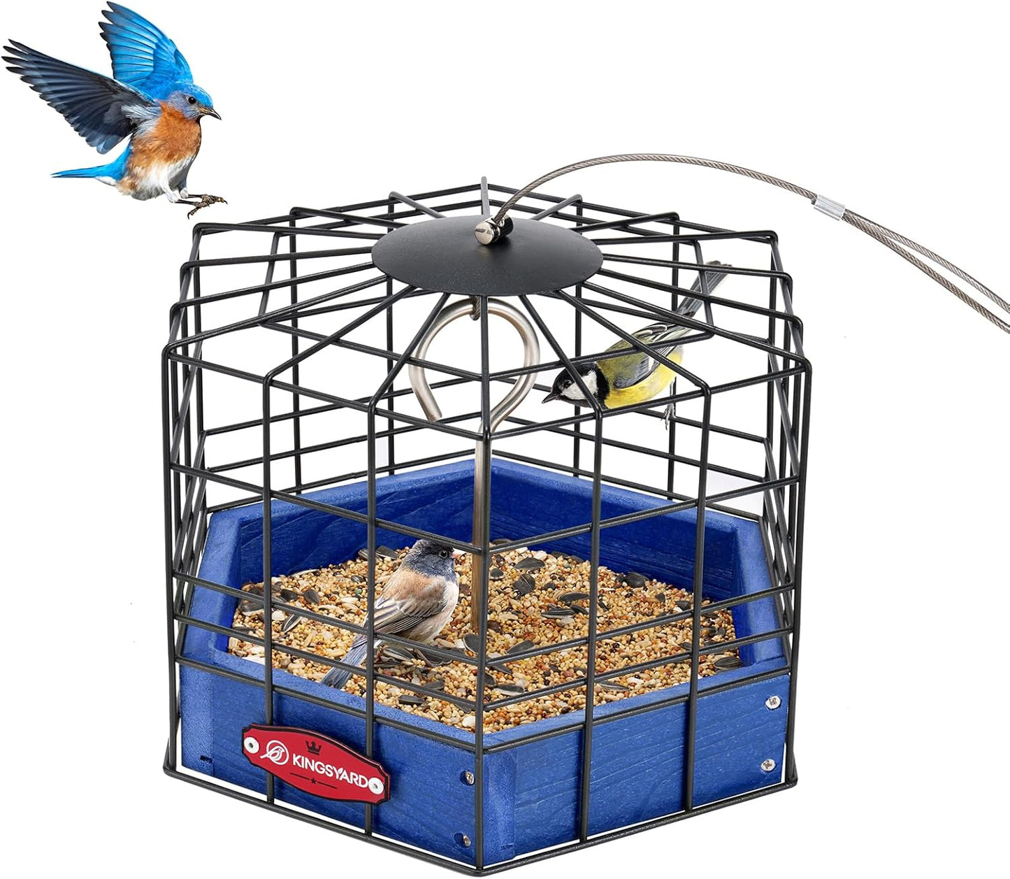 Kingsyard Squirrel Proof Platform Bird Feeder for Outdoor Hanging, Caged Bird Feeder for Bluebird Mealworm, Recycled Plastic Feeding Platform with Metal Mesh Tray, Special for Small Birds, Blue