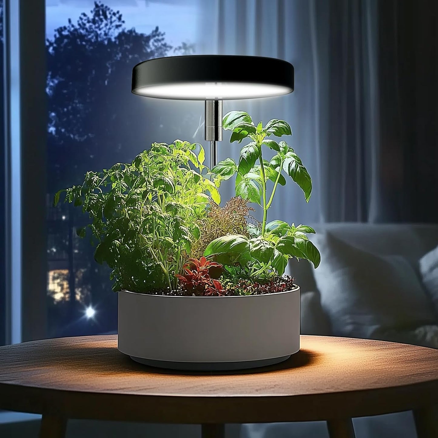 Grow Lights for Indoor Plants Small Potted - Full Spectrum, Auto 3/9/12H Timer, 10-Level Dimming & Adjustable Height - Compact Grow Light for Succulents, Herbs, Foliage in Home/Office (Black,2PACKS)