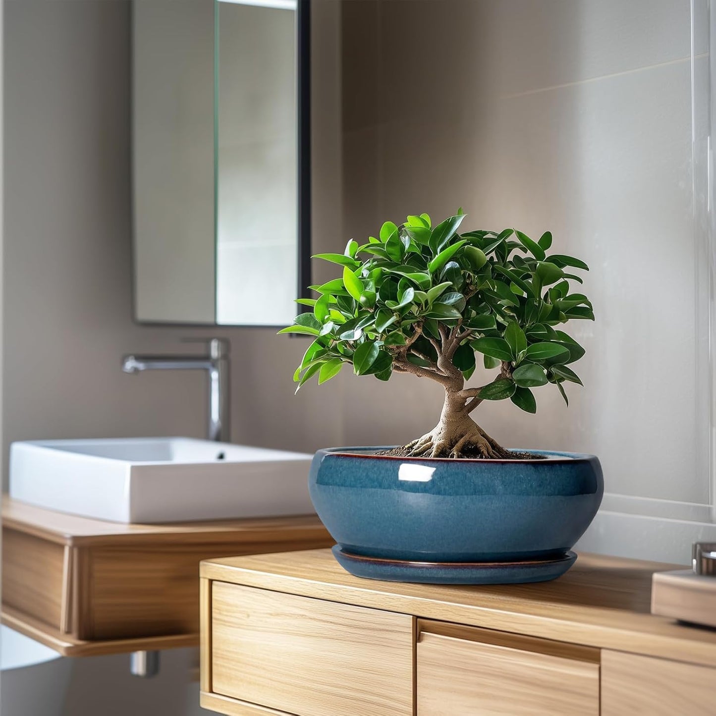 SQOWL Bonsai Pots 10 Inch - Large Ceramic Succulent Pots, Shallow Planter with Drainage Hole and Saucer, Round Planter for Indoor Outdoor, Bowl Planters, Patio Decor, Gifts for Plant Lover, Blue