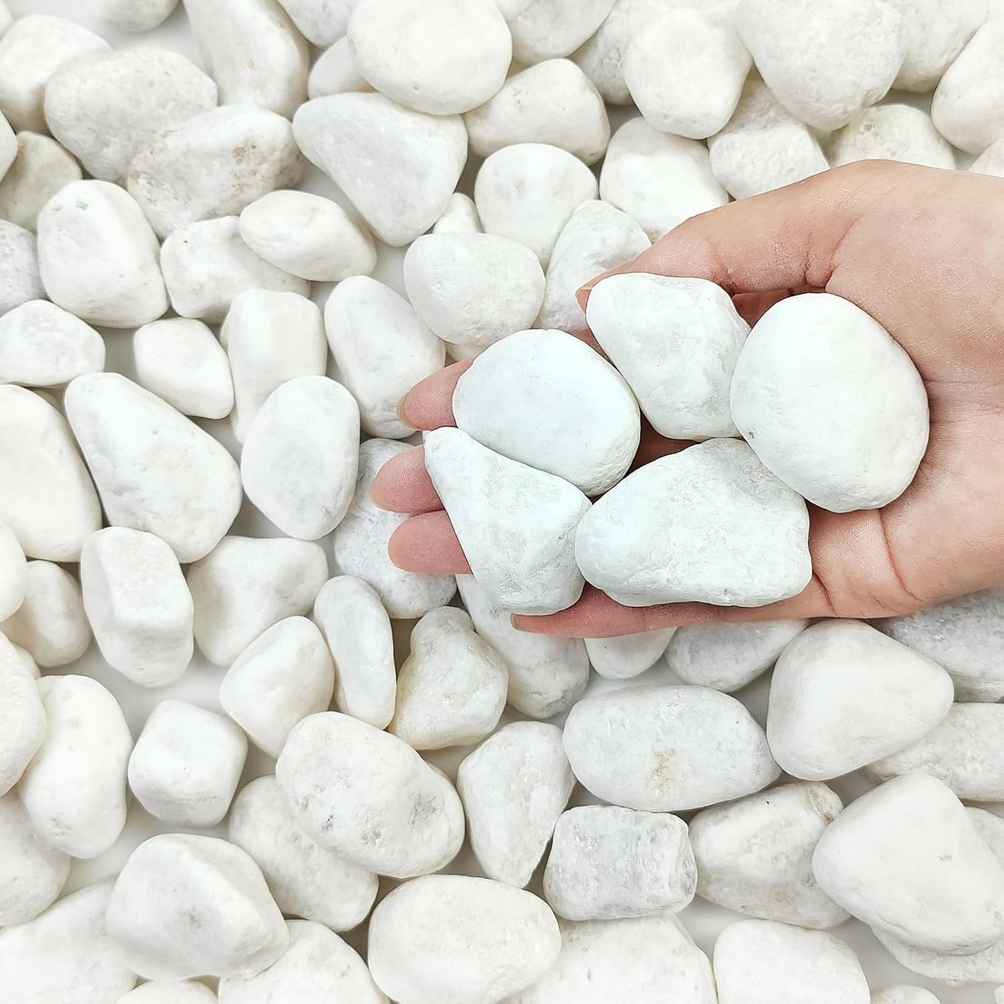 5 lbs White River Rocks for Plants, 1-2 Inch Pebbles for Indoor Plants, Decorative Gravel Stones for Succulent, Cactus, Landscaping, Vases, Aquariums, Crafting and Garden