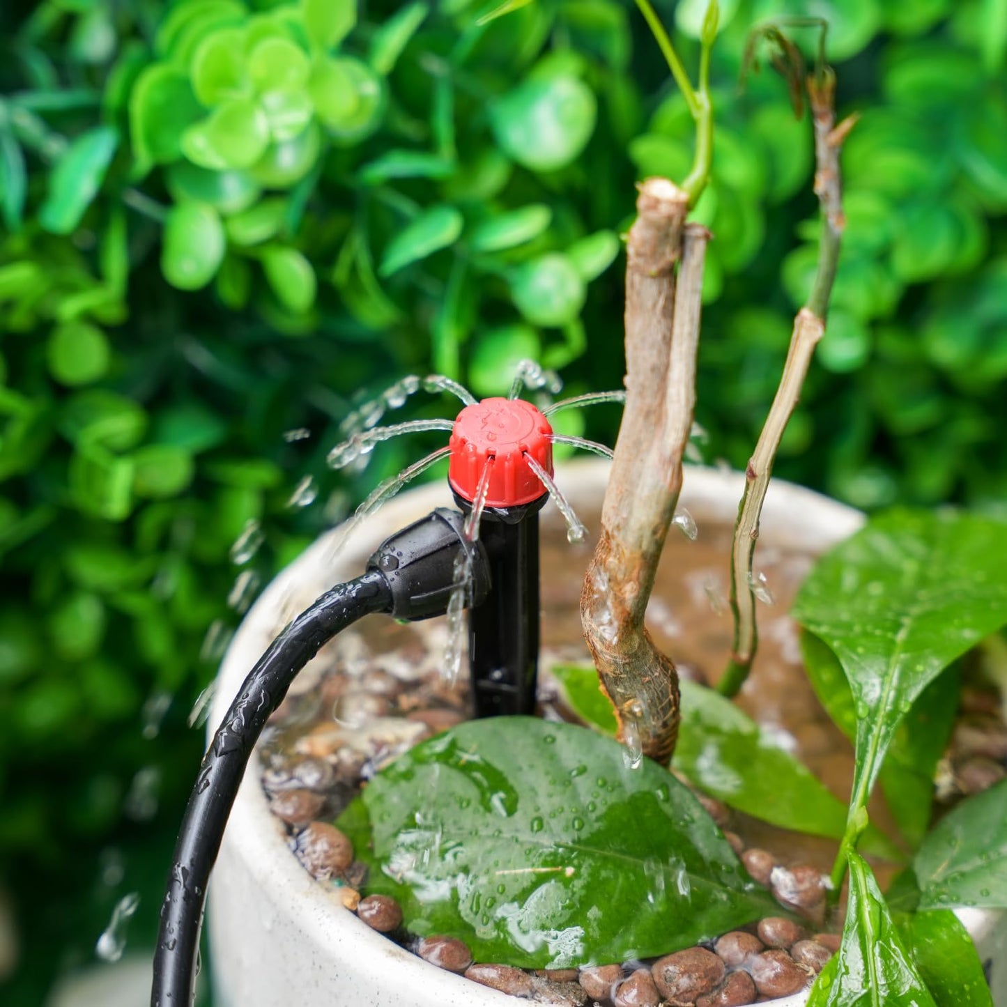 50 Pieces Drip Emitters for 1/4" Drip Irrigation Tubing, Adjustable 360 Degree Stream Drip Emitters with Stake 360° Full Circle 8 Hole Stream Emitters Garden Irrigation Micro Drippers