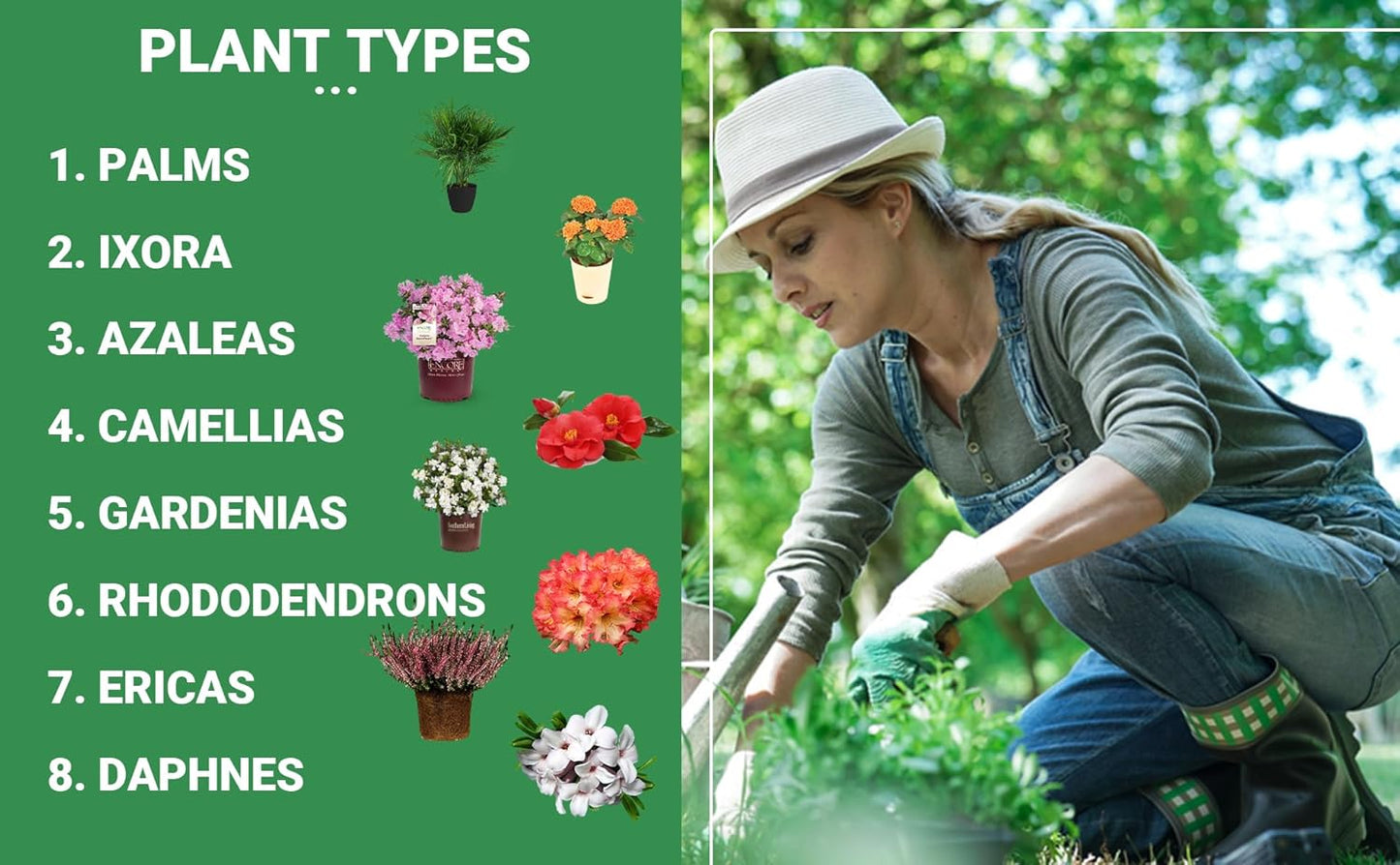 8-4-8 Professional Palm Tree Fertilizer Plant Food; for Indoor Potted Plants and Outdoor Landscape Palm Trees; Quick-Release Nitrogen Fertilizer and Continuous Feeding (5 QUARTS)