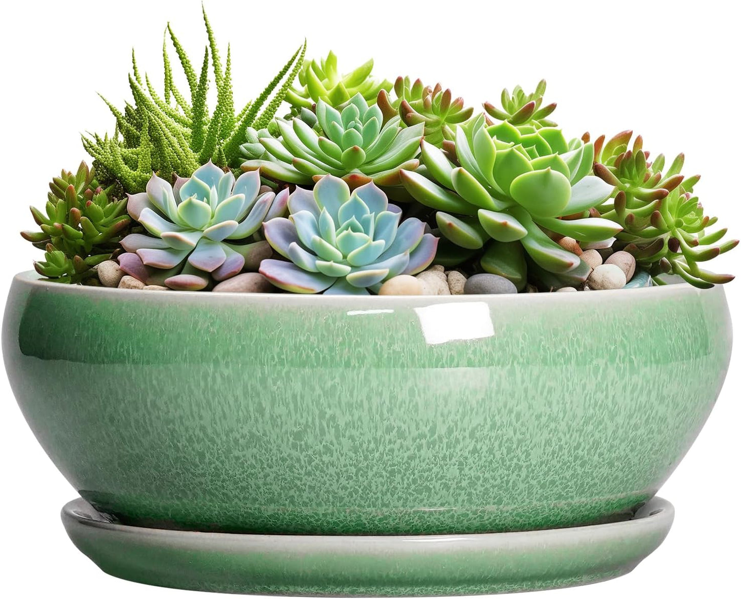 SQOWL Succulent Planter 12 Inch - Ceramic Bonsai Pots with Drainage Hole and Saucer, Large Shallow Planter, Bowl Round Planter for Indoor Outdoor Plants Flower, Room Decor, Birthday Gifts, Green