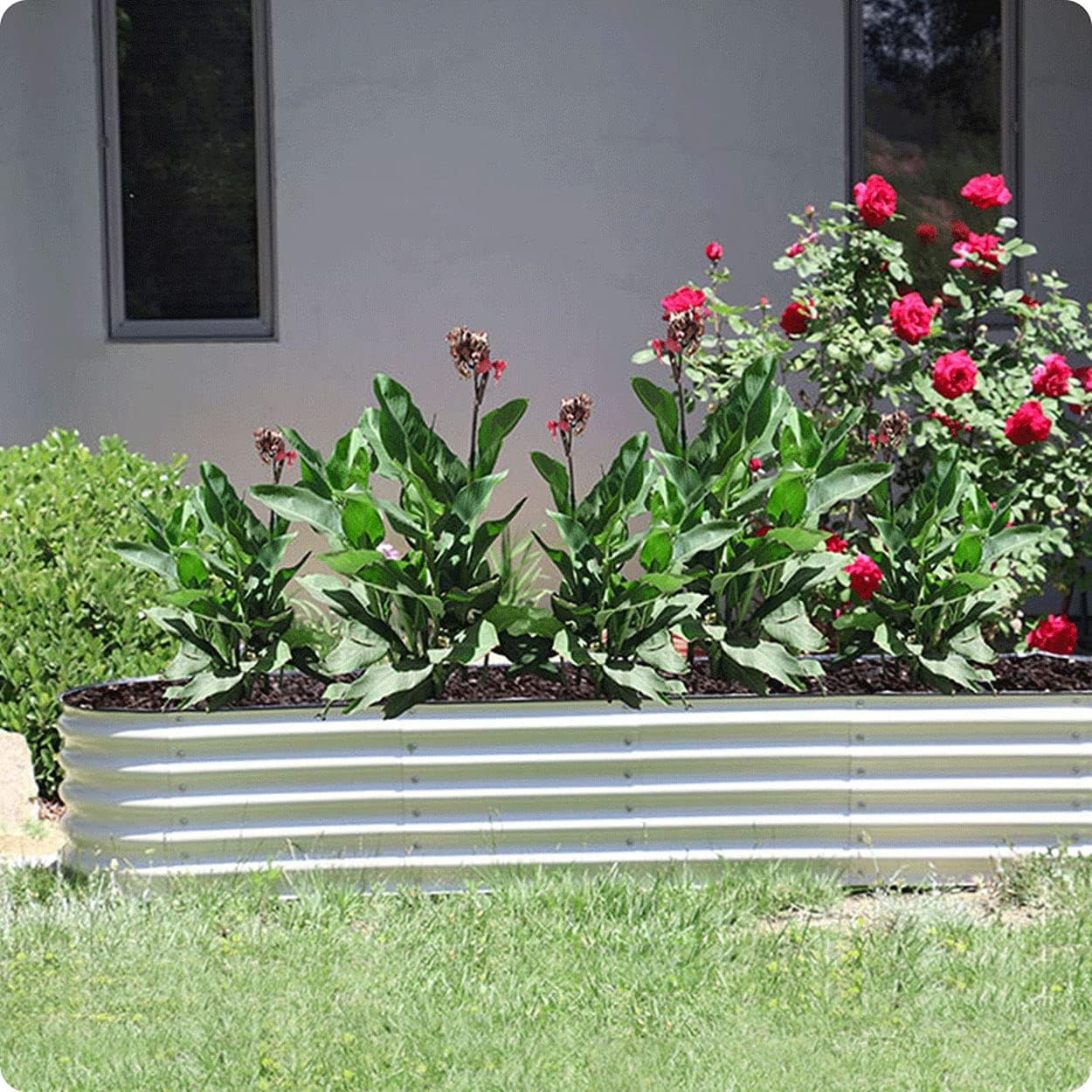 Olle 17" Tall 12-in-1 Sizes Raised Beds for Gardening Galvanized Planter for Vegetables Large Metal Raised Garden Beds Outdoors Size 5X5 Feets 8X2 Feets, Ivory 17" Tall