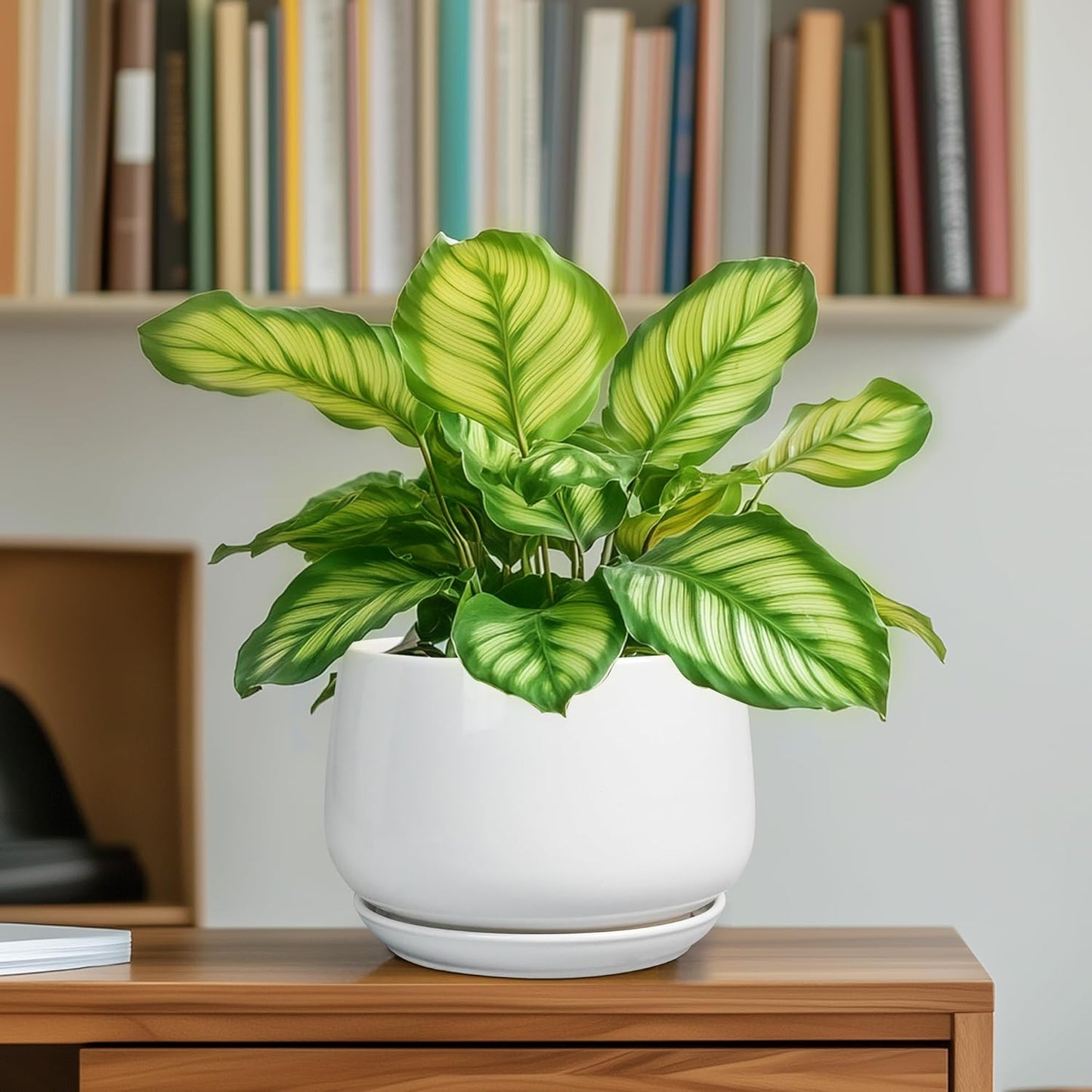 G EPGardening Ceramic Pots for Plants - 6 Inch Planter for Indoor Plants, Flower Pots with Drainage and Ceramic Tray, Modern Office Decor, Gifts for Plant Lovers, White