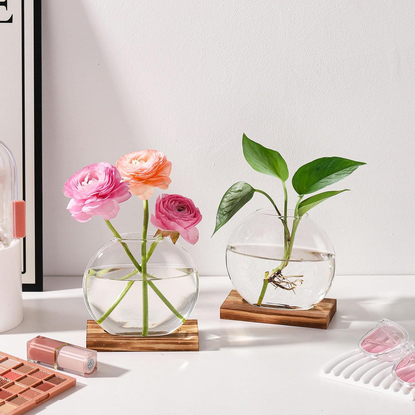 2 Pack Plant Propagation Station with Wooden Base Glass Terrariums for Indoor Plants Decorative Round Vases for Flowers Hydroponic Planter for Home Office Decor