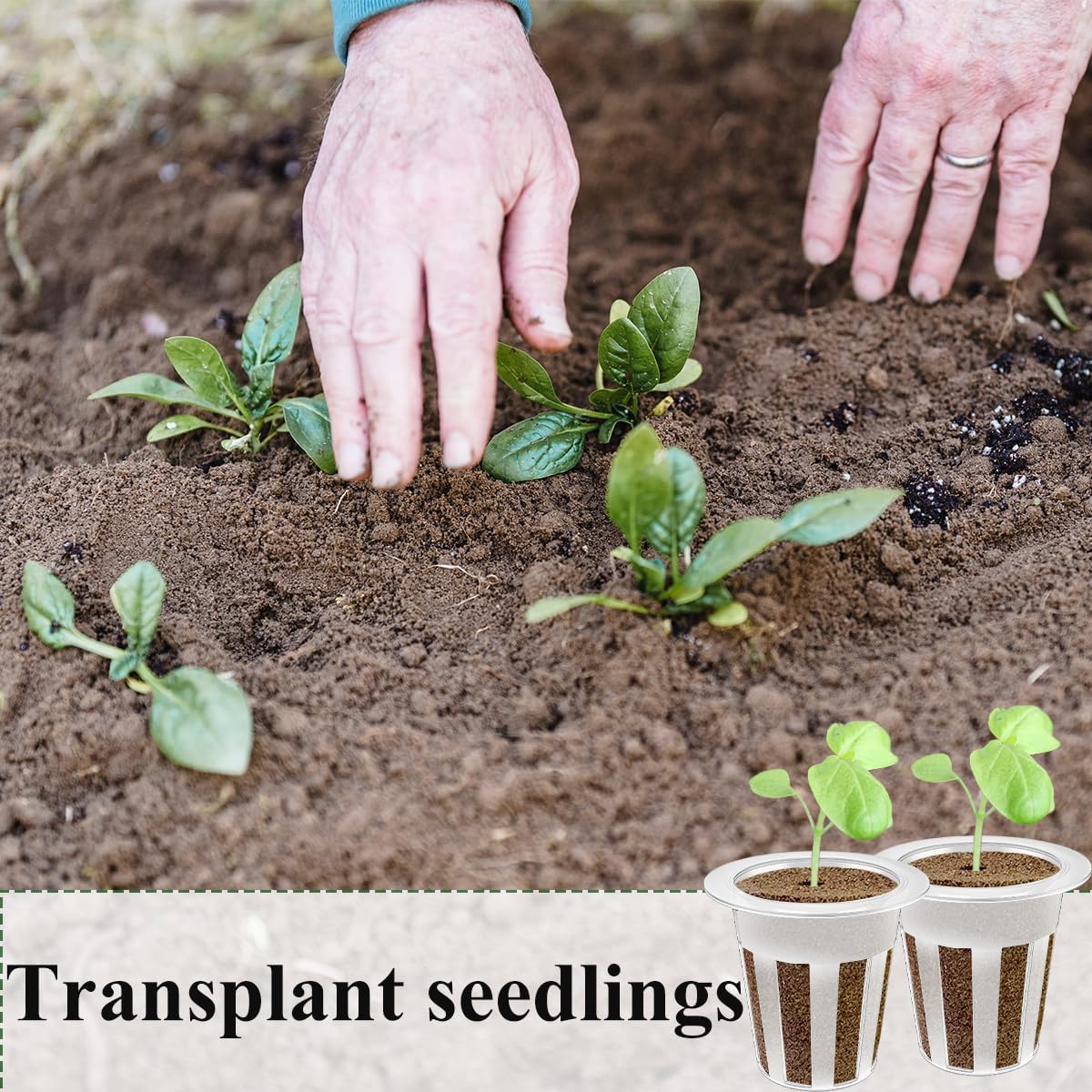 40 Pcs Hydroponic Seeds Grow Sponges Pods Kit,Indoor Hydroponics Growing System Root Plant Basket,Hydroponic Pods Cups Pot and Grow Sponges for Garden Indoor Herb Hydroponic Growing System