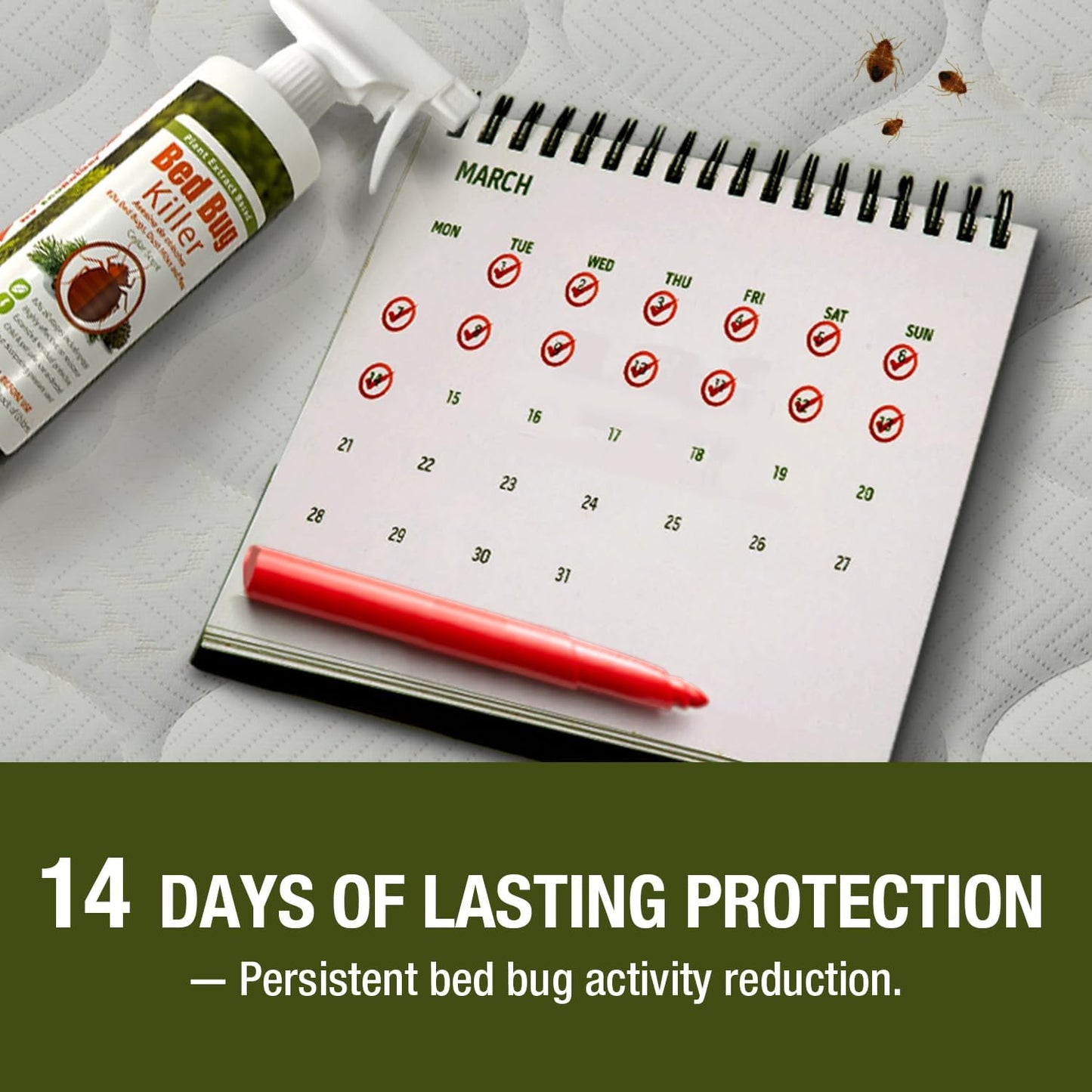 Bed Bug Killer (16OZ) EcoVenger by EcoRaider−100% Kill Efficacy−Kills All Stages on Contact-14 Day Residual Protection− EcoFriendly & Non-Toxic Child & Pet Friendly