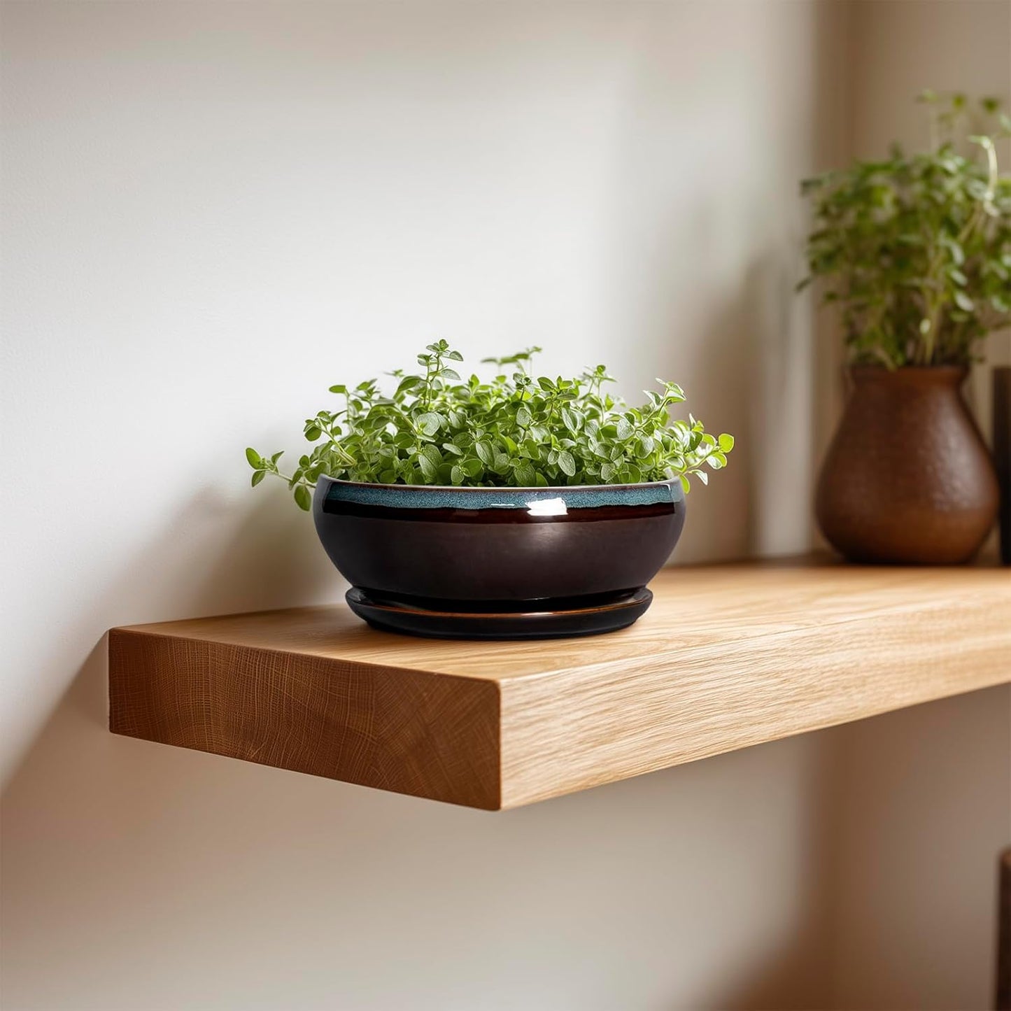 SQOWL Succulent Pots with Drainage Hole - 6 Inch Ceramic Bonsai Tree Pots, Shallow Planter with Saucer, Round Plant Pot for Succulent Indoor Outdoor, Porch Decor, Gifts for Plant Lover, Blue-Brown