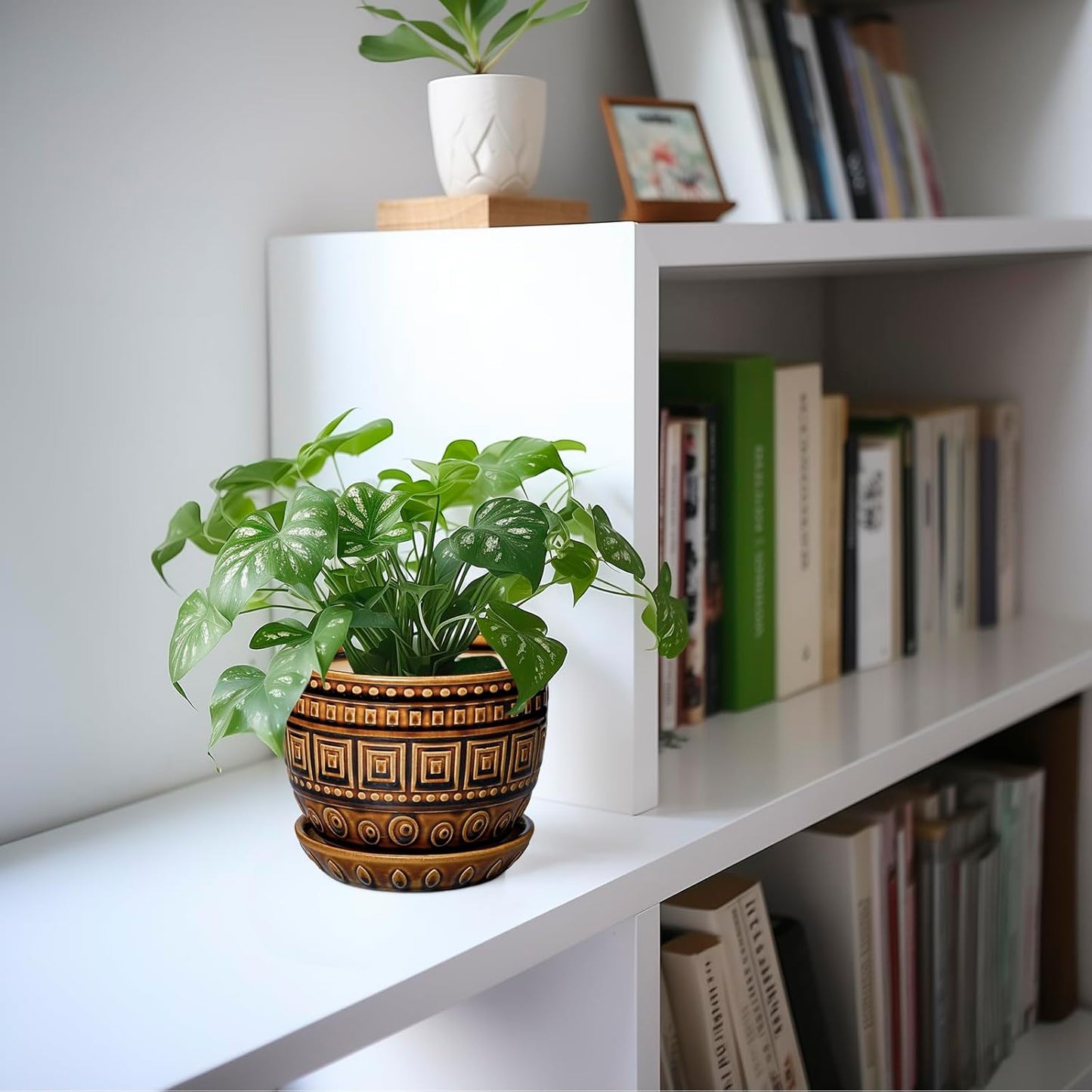 G EPGardening Succulent Pot 5.5 Inch - Ceramic Plant Pot for Indoor Plants Outdoor, Round Boho Planter with Drainage Hole and Saucer, Gifts for Plant Lovers, Office Home Garden Decor, Brown