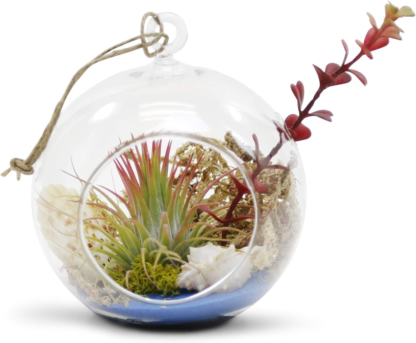 WGV Hanging Terrarium Globe, Width 5", Height 6", DIY Air Succulent Planter, Clear Glass Vase Orb with Flat Bottom, Candle Holder for Windowsill Outdoor Garden Decor, 1 Piece
