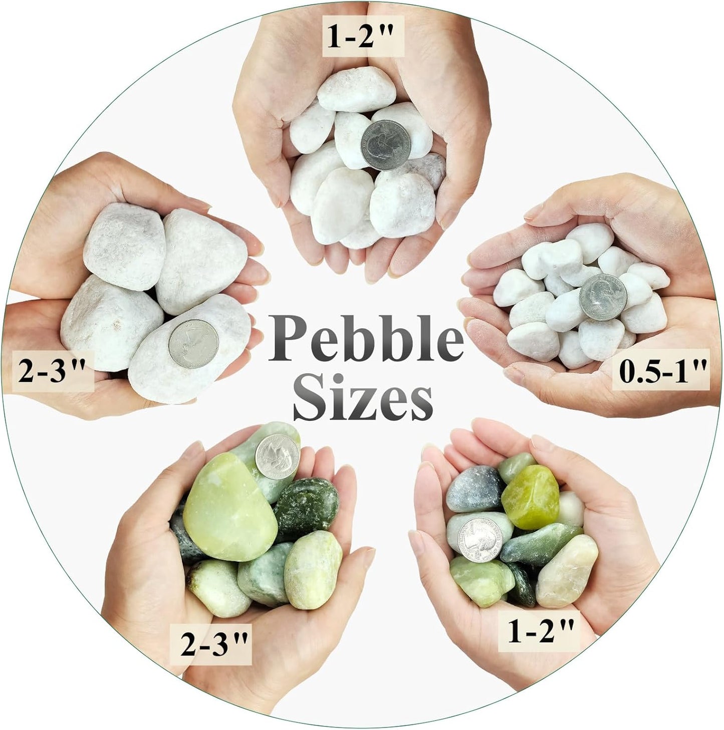 10 lbs White River Rocks for Garden, 0.5-1 Inch Pebbles for Indoor Plants, Decorative Stones for Landscaping, Succulent, Vases, Aquariums and Zen Garden