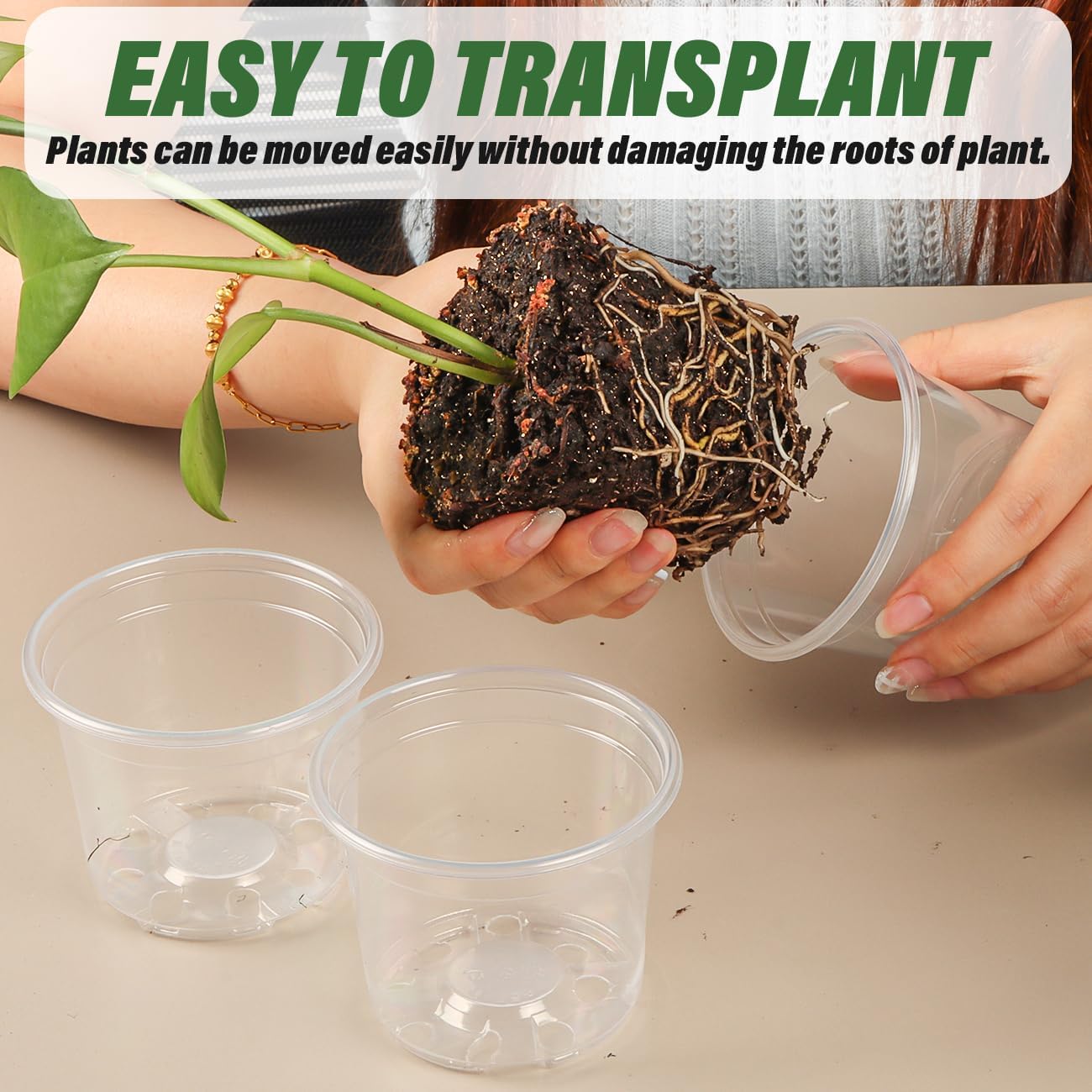 Clear Seedling pots 100-Pack 3.2 Inches Round for Seeds Starter Pots, Seeds Germination Transparent Clean Pots with Drainage Holes(100 Pcs, 3.14Inch)