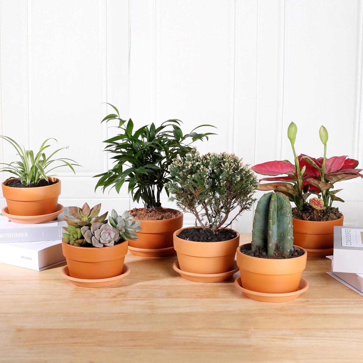 INGOFIN 5 Inch Terracotta Shallow Pots Set with Saucer - Ceramic Clay Pots with Drainage Hole, Terra Cotta for Plants for Indoor Outdoor Plants, Set of 6