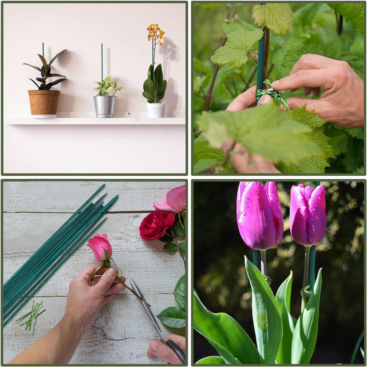 Green Bamboo Plant Stakes, Plant Sticks Support for Indoor and Outdoor Plants, Garden Wood Sturdy Bamboo Sticks, Floral Plant Support Stakes for Garden Plants 25 Pack（18 Inches）