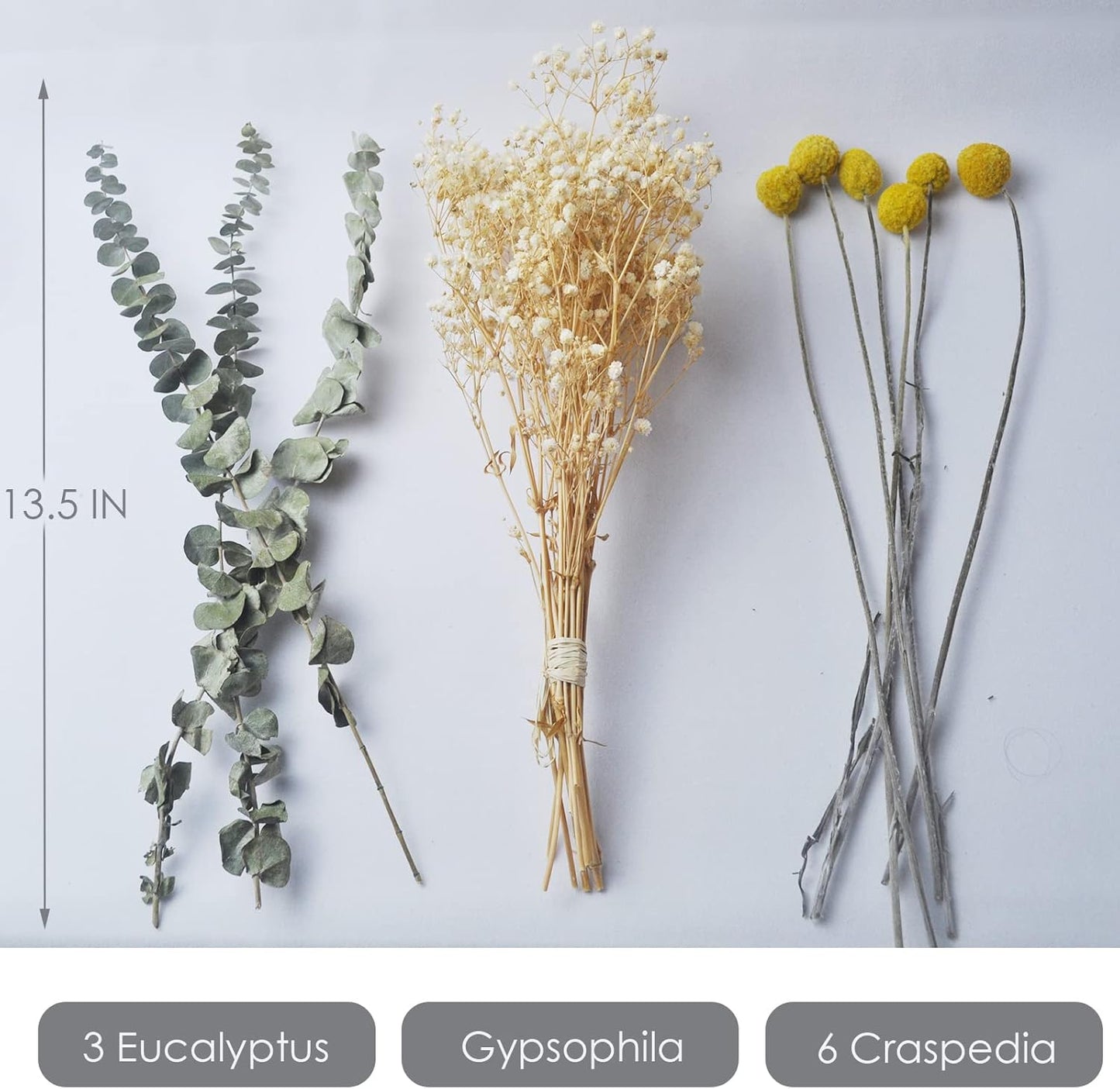L'BREVOGA Dried Flower Bouquets, 100% Natural Flowers Craspedia/Baby’s Breath/Eucalyptus for Decoration Home Party (Billy Buttons)