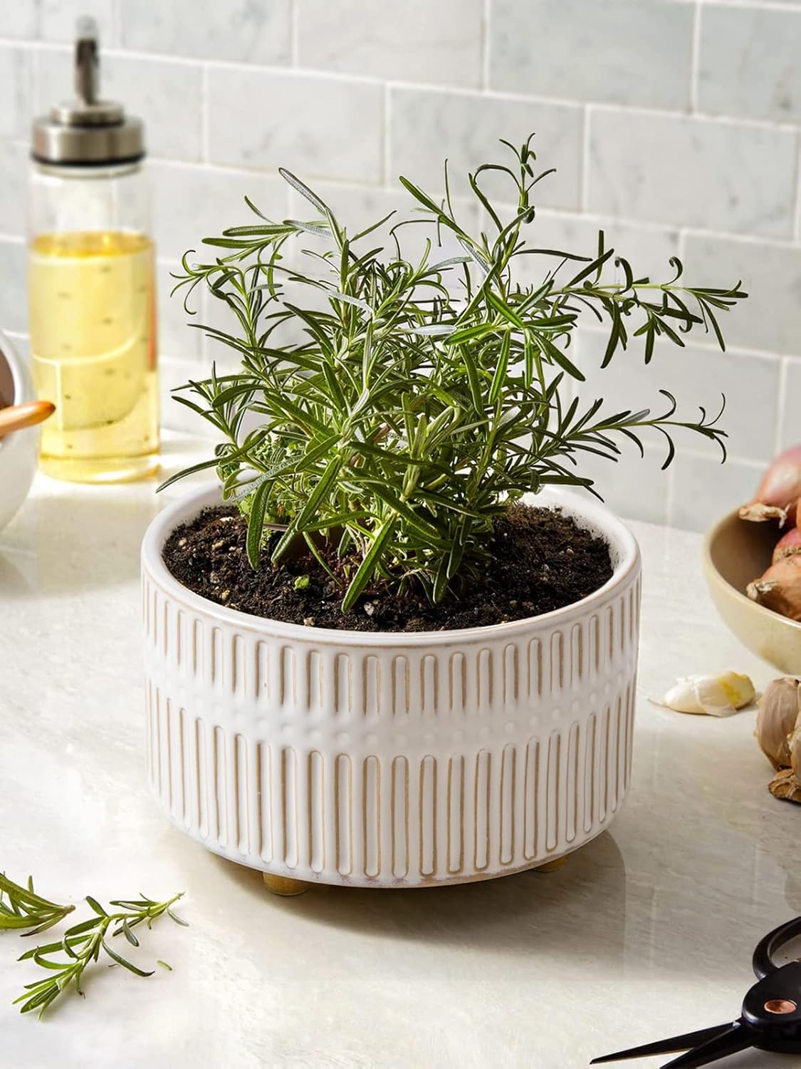 LE TAUCI Succulent Planters, 6.5+8 Inch Ceramic Indoor Plant Pot with Drainage Hole, Shallow Round Succulent Pots, Set of 2, Reactive Glaze White