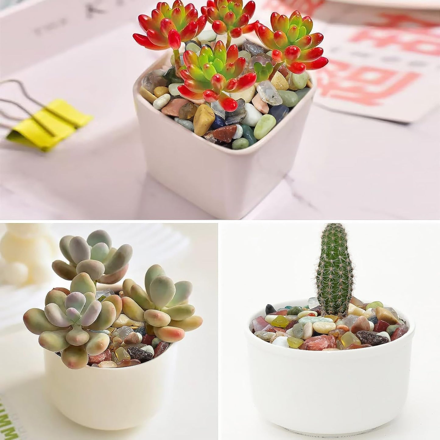 5LB Colorful Pebbles for Succulent, 3/8 Inch Natural River Rocks for Plants, Natural Decorative Polished Pebbles for Cactus,Vases, Planters,Outdoor Gardening and Indoor Plants