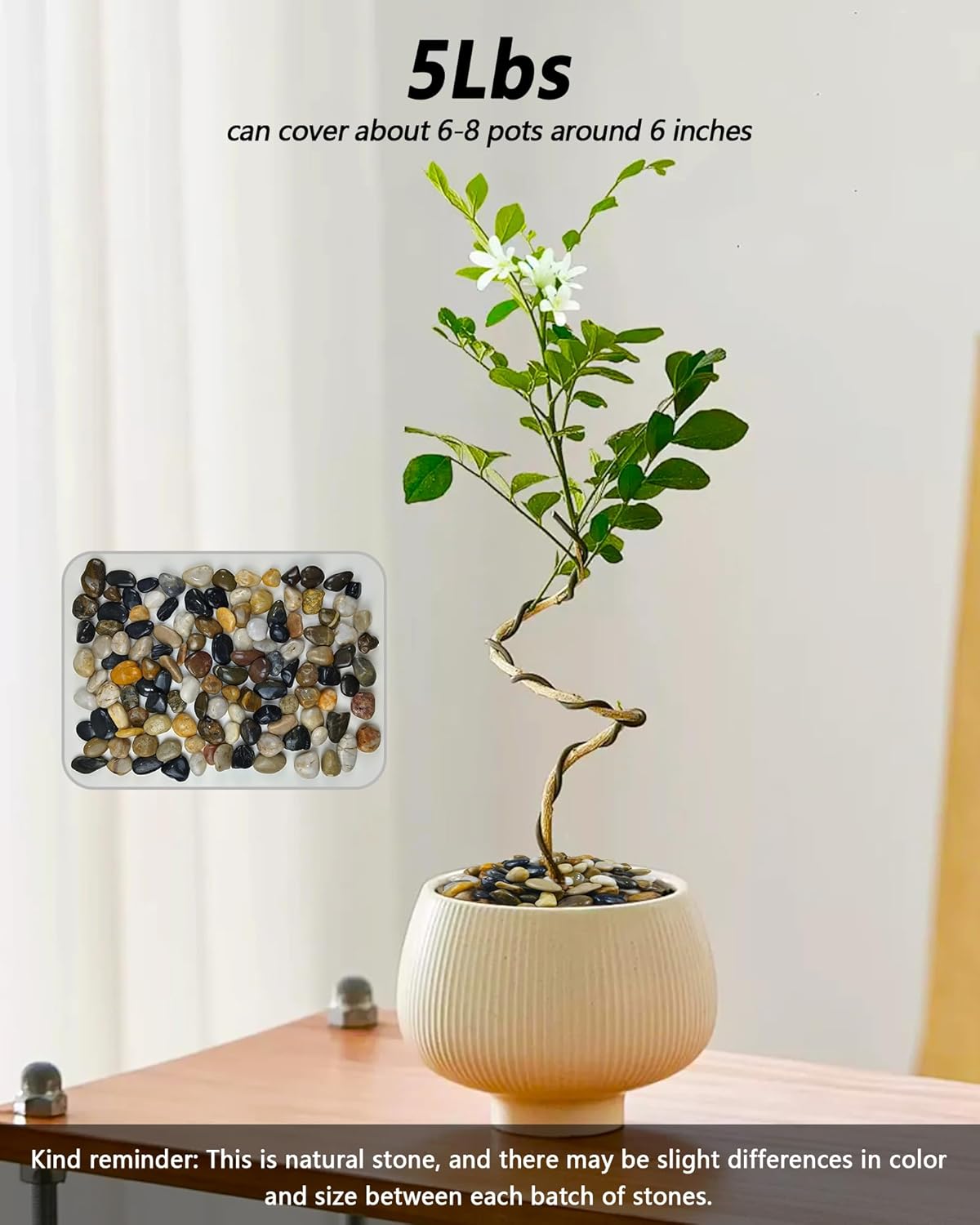 5LB Polished Mixed River Rocks, Natural Decorative Stones for Indoor Outdoor Plants, Succulents, Vases, Fish Tank, Garden Landscaping & Top Dressing Pebbles 1-2.2Inch