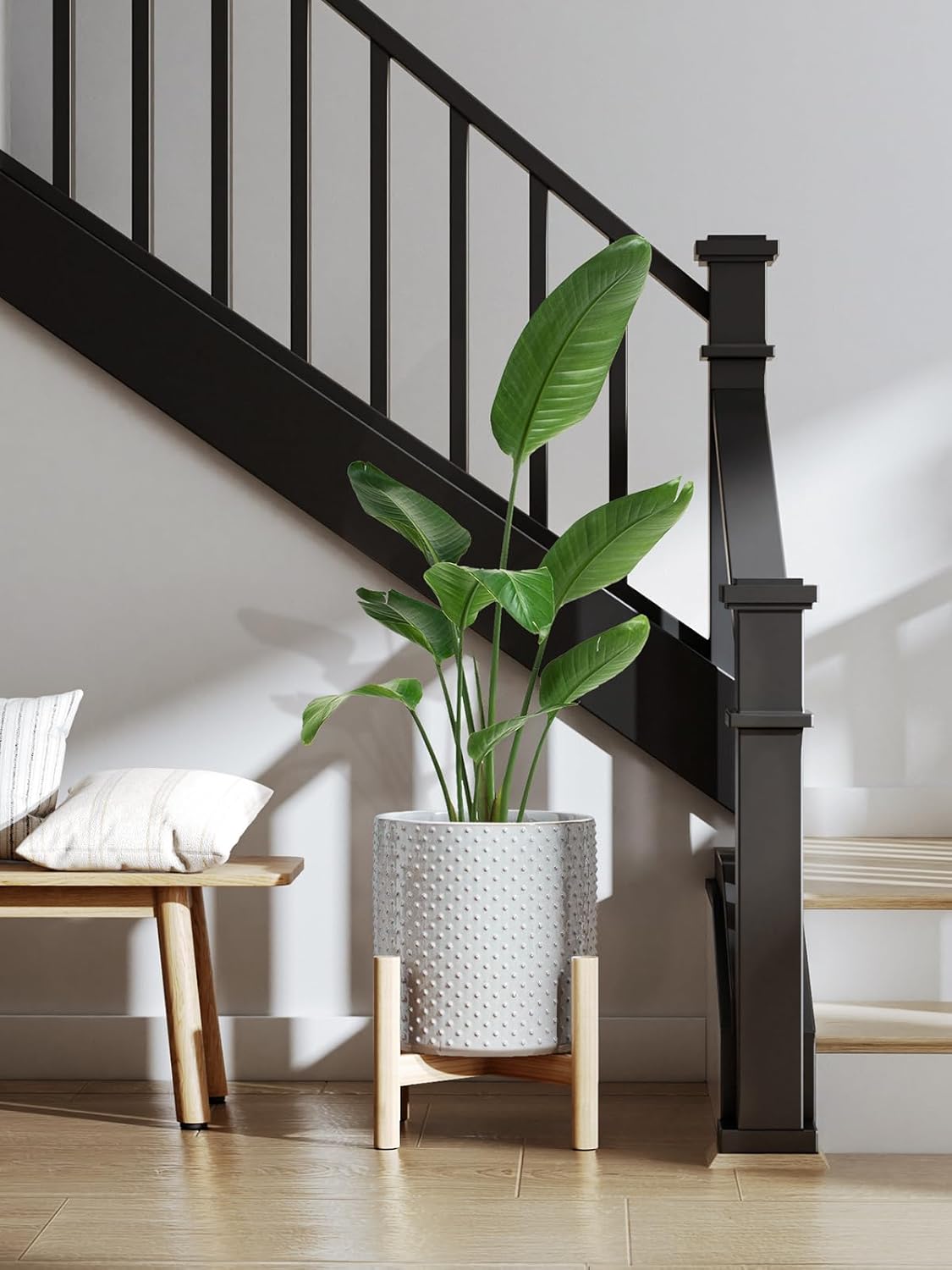 LE TAUCI Ceramic Plant Pots Indoor, 10+8+6 Inch Planters for Indoor Plants, Raised Dots Flower Pots with Drainage Hole and Plug, Cylinder Round Planters, Set of 3, Glaze Star Gray