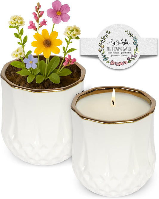 The Growing Candle, Lilac Scented Aromatherapy Candles, 9oz Pot, 100% Soy, Astrid