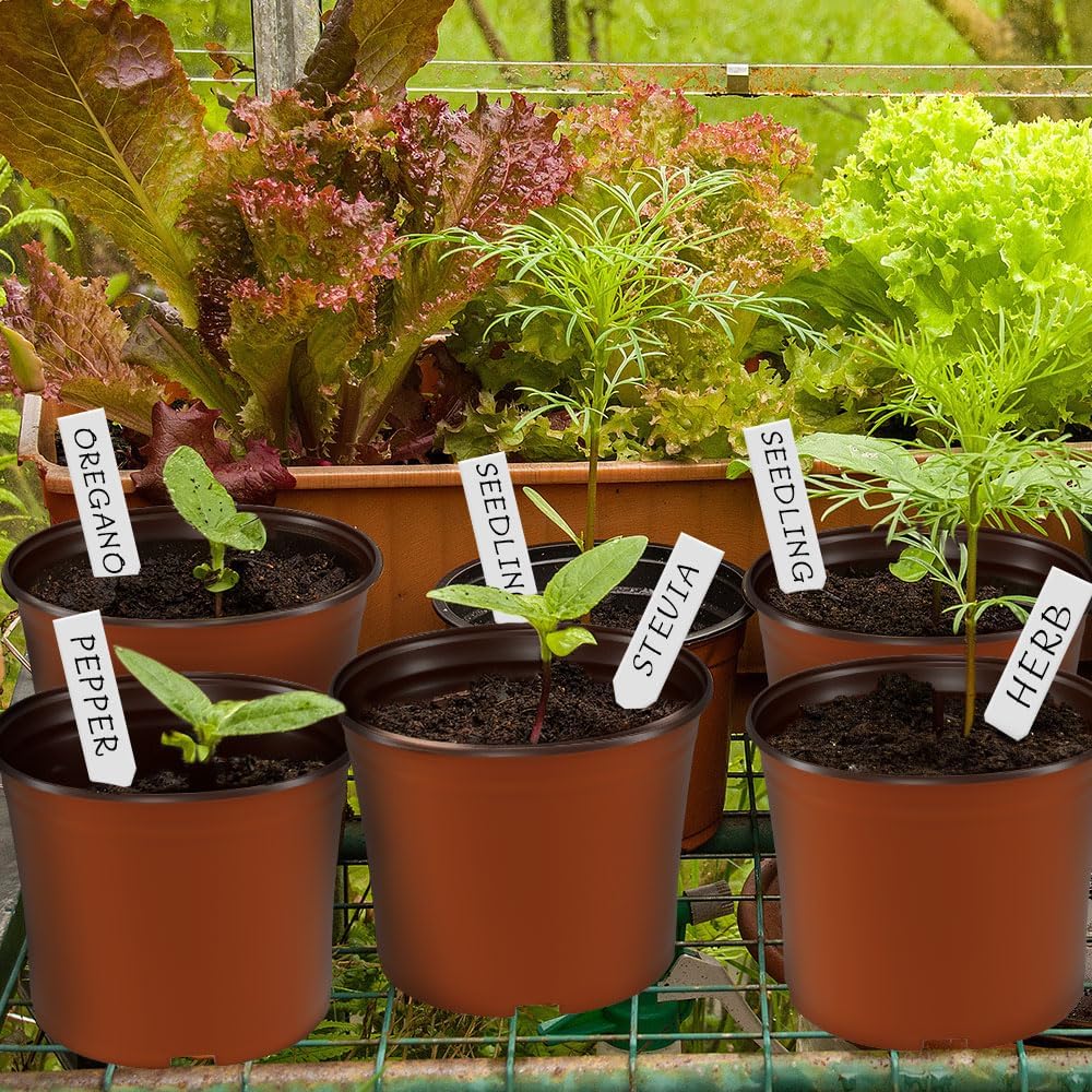 100 Pcs Plant Nursery Pots, 6 Inch Large Plant Seedling Pots with Labels Plastic Plant Flower Pots with Drainage Holes Indoor Outdoor for Succulent Cutting Transplanting
