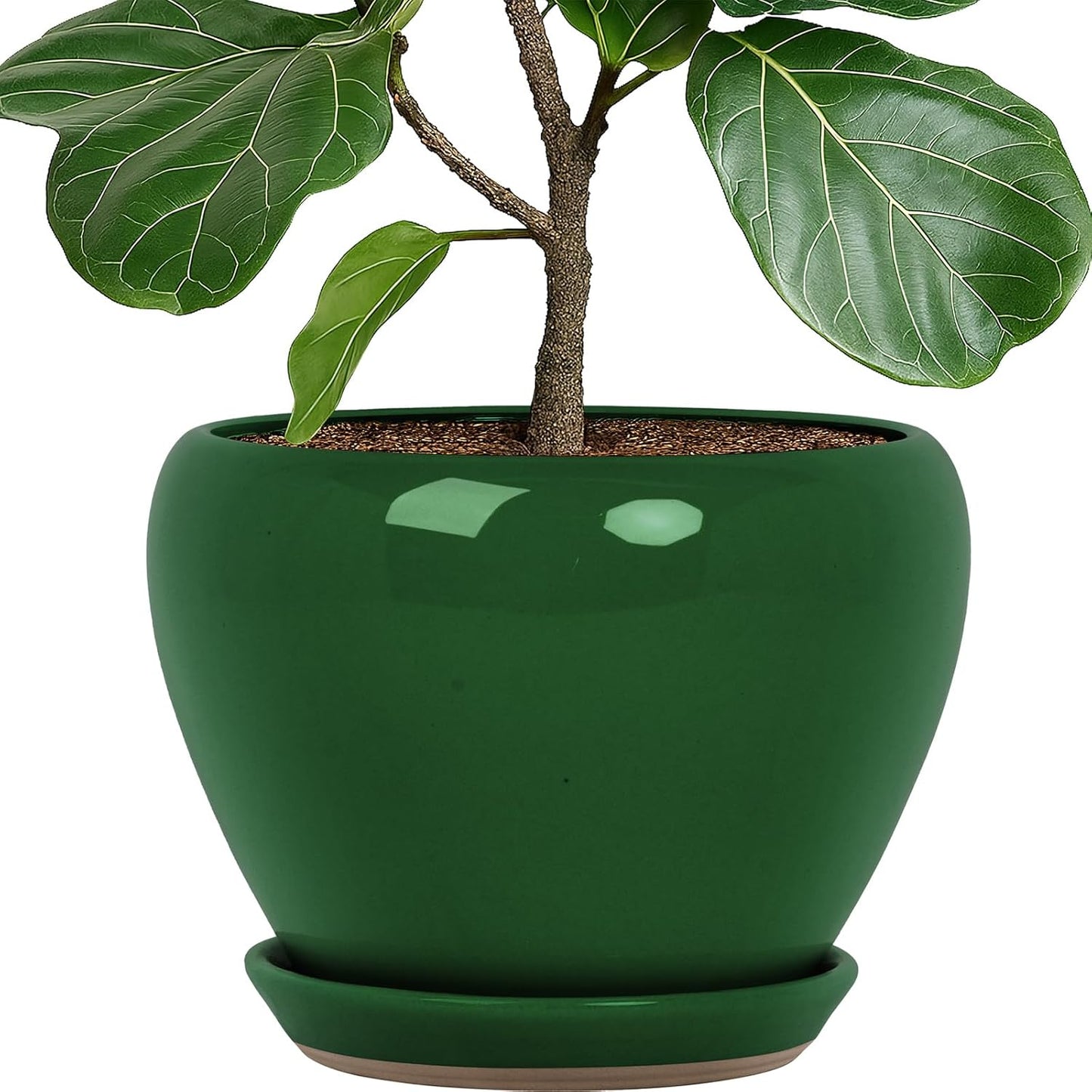 Deep Dream 10 Inch Plant Pot- Ceramic Planter Pot Round Plant Pots for Indoor Plants Outdoor Large Flower Pot with Drainage Holes & Trays, Green