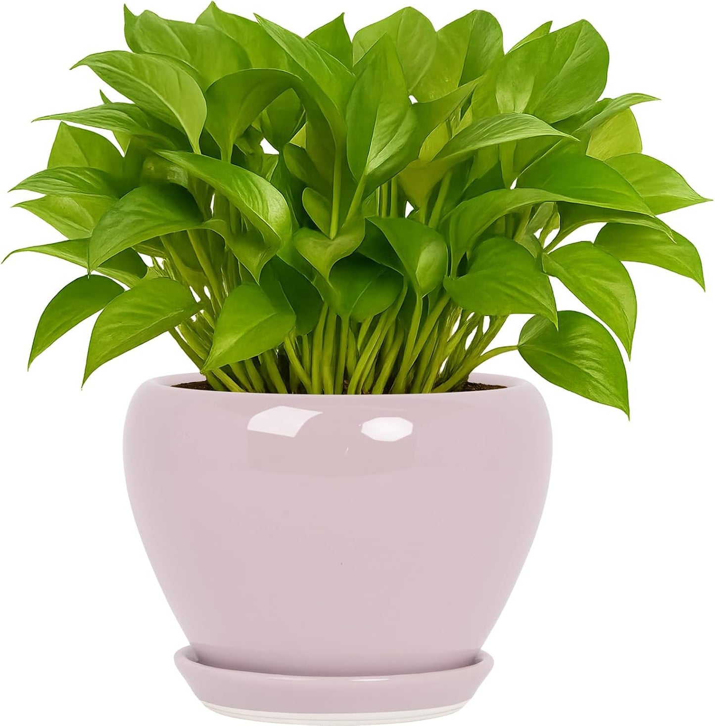 Deep Dream 6 Inch Plant Pots- Ceramic Planter Pot with Drainage Hole and Saucer, Round Flower Pot for Indoor Outdoor Succulent, Snake Plants and Cactus, Pink