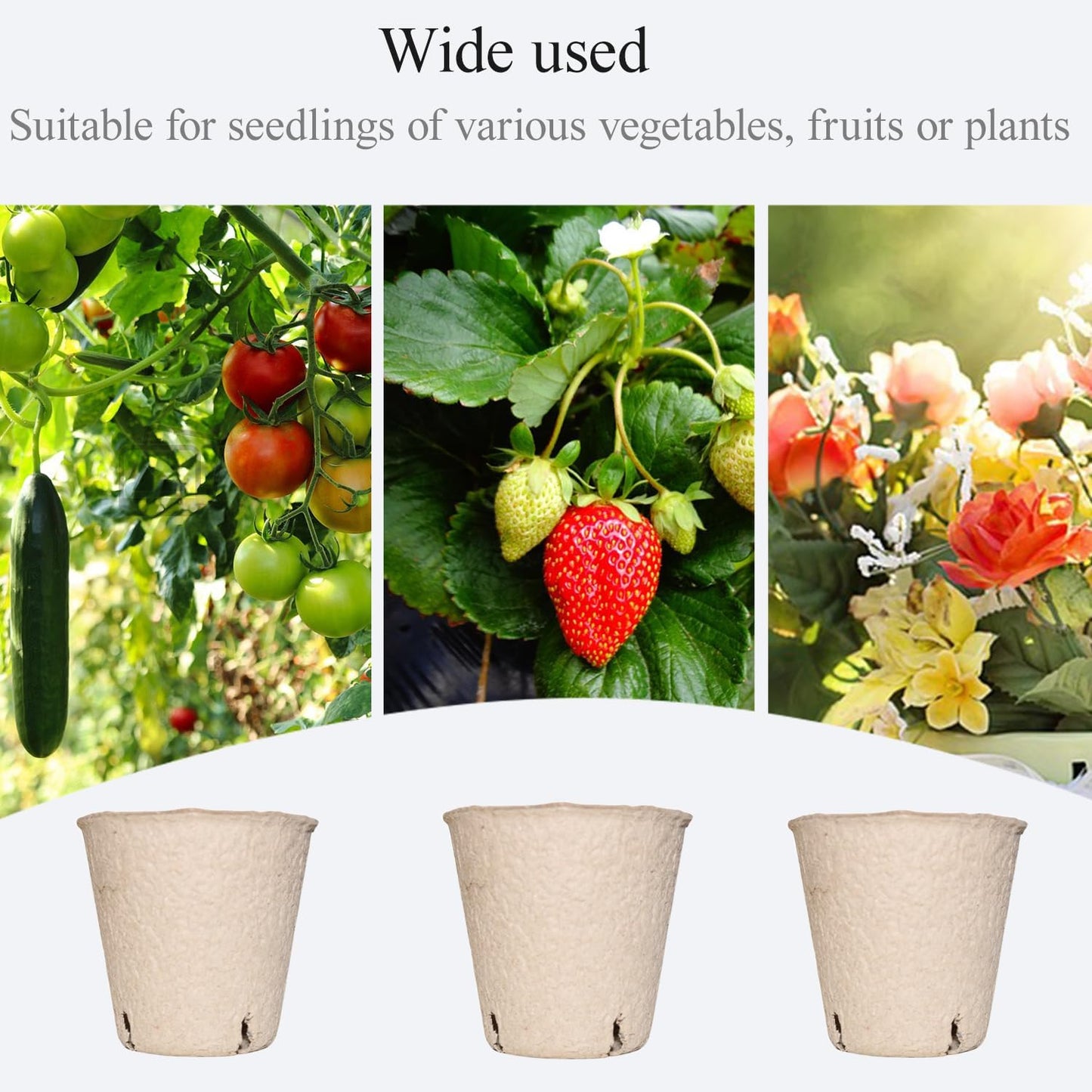 50Pcs Biodegradable Seedling Pots 3.15 Inch Round Peat Pot with Drainage Holes Seed Starting