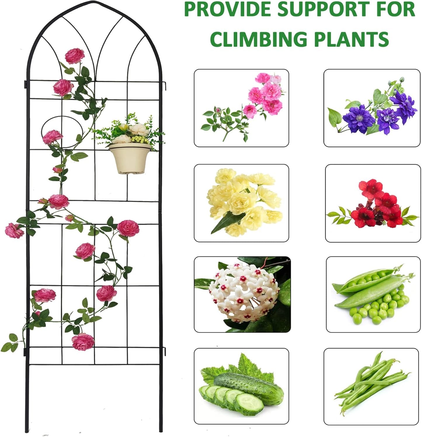 4 Pack Metal Garden Trellis 78.7" H Garden Fence Rustproof Trellis for Climbing Plants Support Roses Flower Outdoor Lawn Black