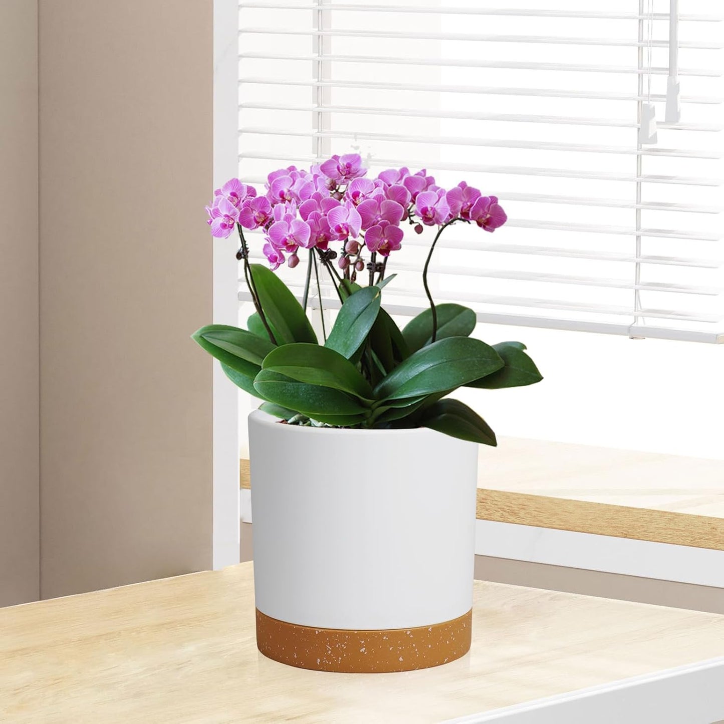 5 Pack Cylindrical Flower Pots with 7/6.5/6/5/4 inch, Modern Small Plastic Plant Pots with Drainage Holes & Saucers, Round Planter Pots for Outdoor, Indoor & Office Decor (White Brown)