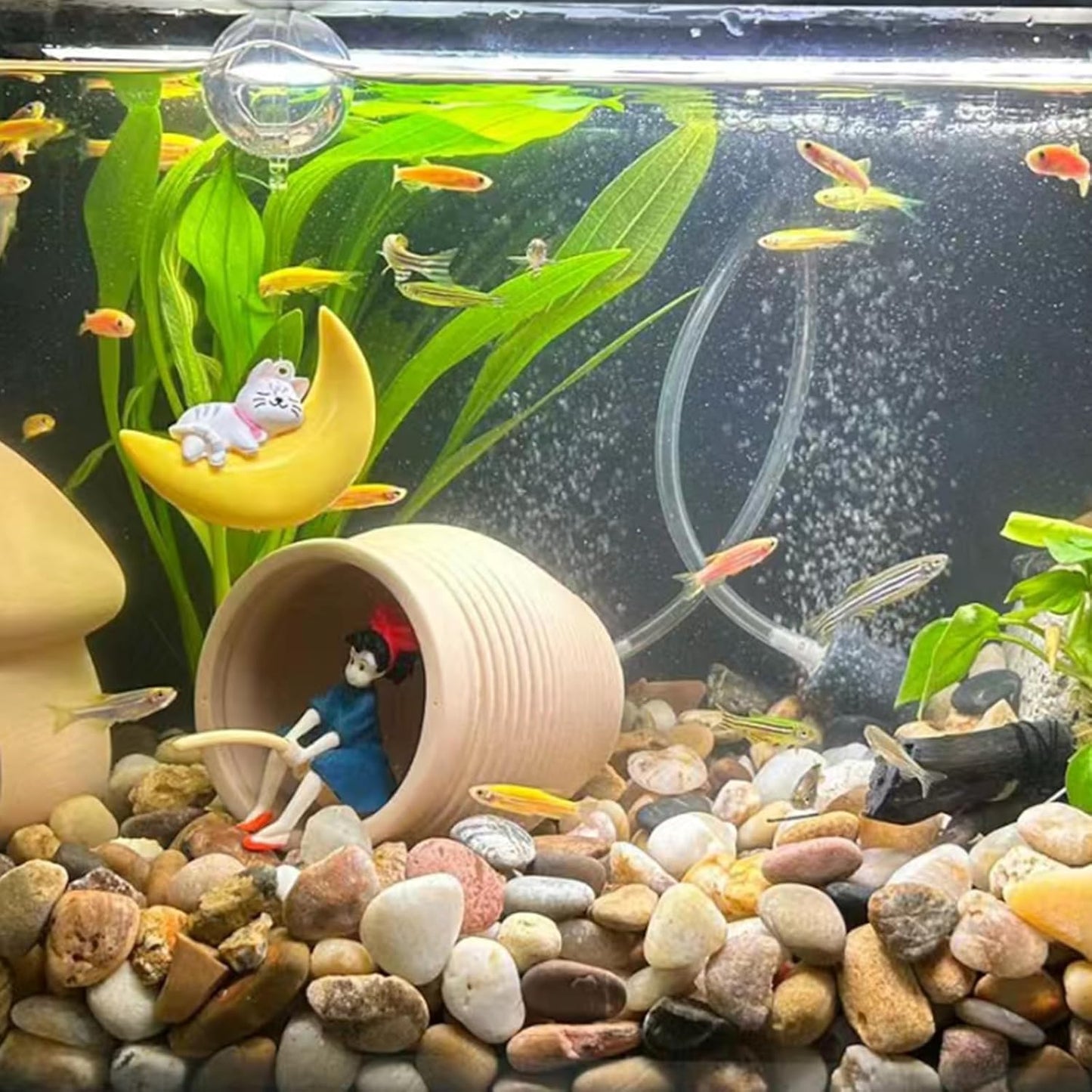 Large River Rocks for Landscaping, 3-4 Inch Mixed Colors Pebbles for Plants and Garden, Premium Rocks for Flower Beds, Indoor Fountains, Paths, Backyards, Fish Tanks(40lbs Bulk)