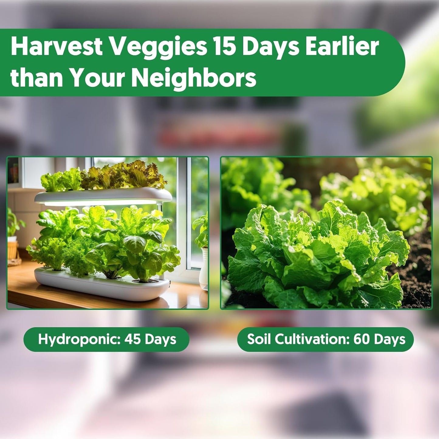 18 Varieties Herb & Vegetable Seeds for Hydroponic, 13000+ Seeds for Indoor Outdoor Garden Planting Home Veggie Herb, Heirloom Non-GMO Culinary Collection Gift Pack
