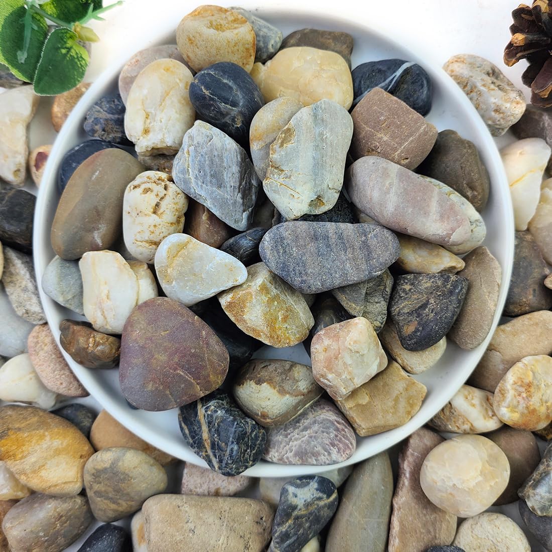 5lbs Aquarium Rocks, 5/8" Natural Mixed Pebbles for Plants Decorative Polished River Rocks for Fish Tank, Landscaping, Gardening, Flower Pots, Vase Fillers, Indoor Water Fountains