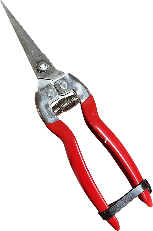 GARDEN GURU Straight Stainless Steel Pruner Pruning Shears Clippers Snips – Sharp Bonsai Cutter Plant Trimming Scissors – Straight Blade Garden Scissors Tool – Great for Roses Flowers Herbs Fruits