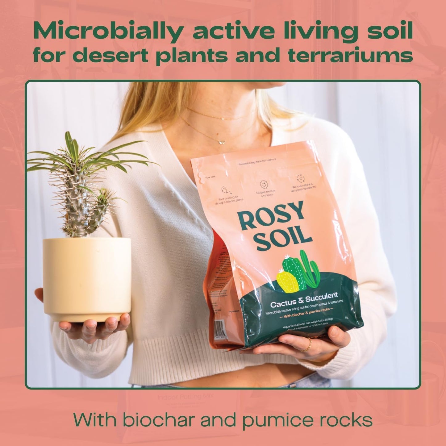Rosy Soil Cactus and Succulent Potting Soil Mix for Houseplants - Fast Draining Organic Potting Soil for Succulents, AloeVera, Indoor Plant - Root Boosting for Drought Tolerant Growth, Pack of 2