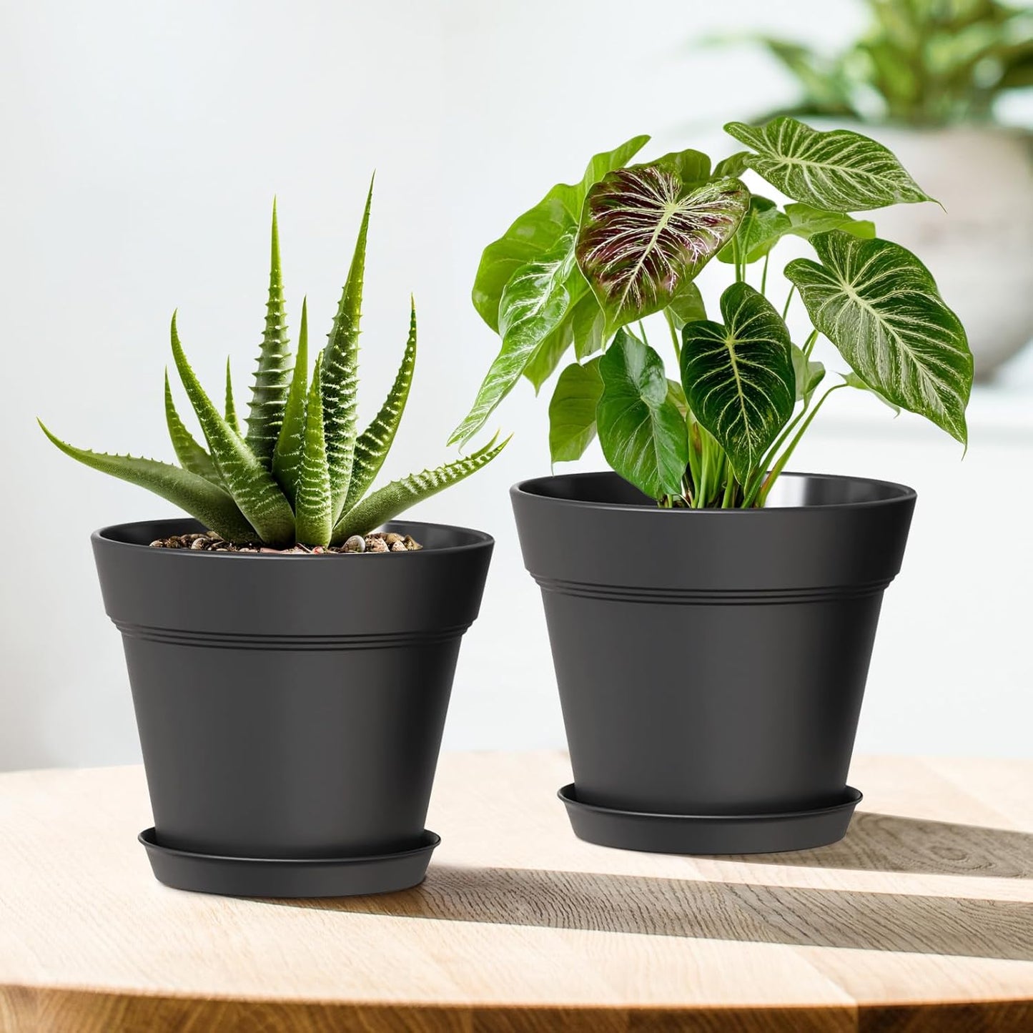 5 Inch Plastic Plant Pots with Drainage Holes and Trays – 6 Pack Small Nursery Pots for Indoor & Outdoor House Plants and Flowers, Seedling Starter Planters, Matte Black