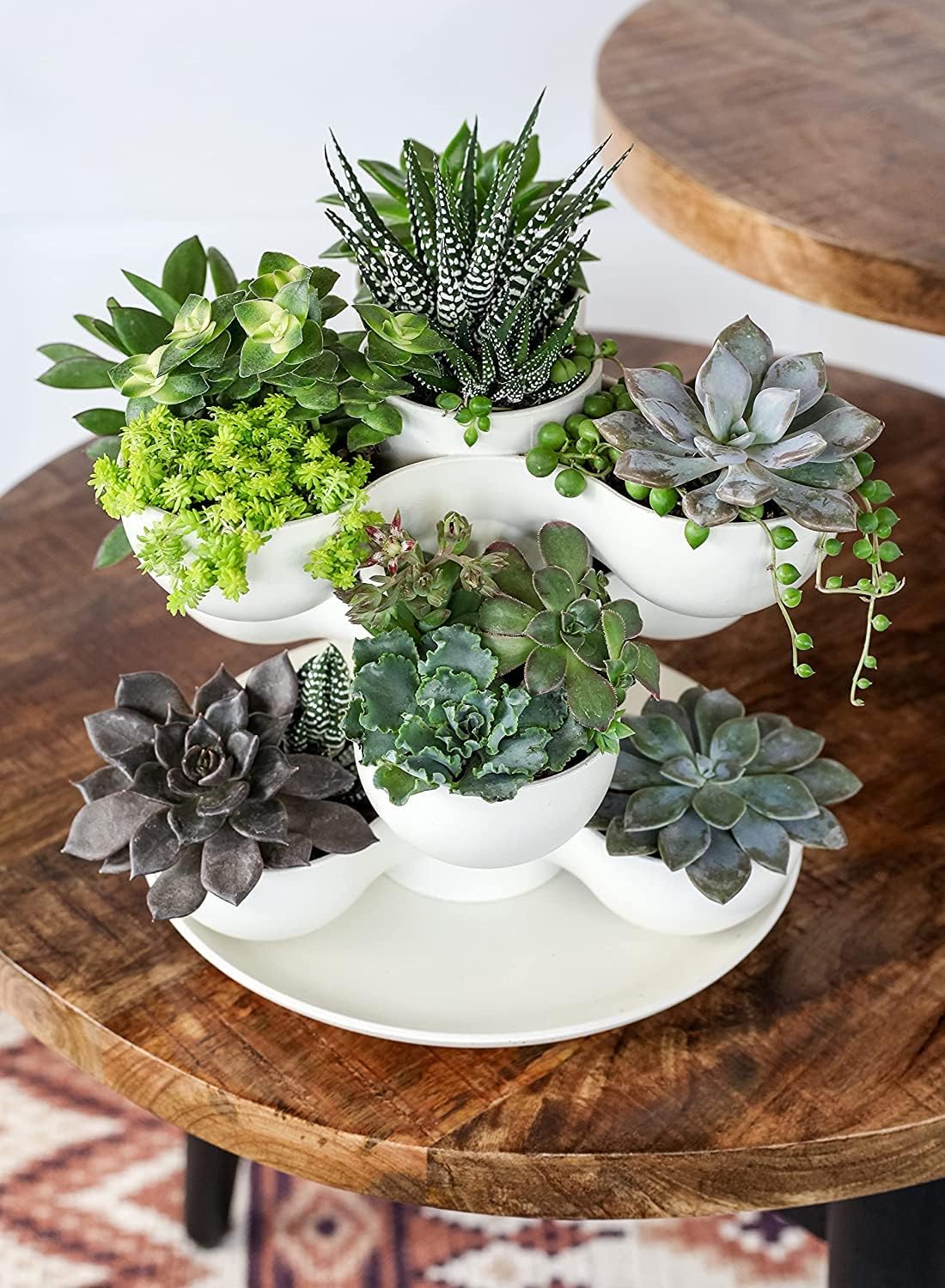 The HC Companies 8 Inch Round Stacking Decorative Indoor Pixie Succulent Flower Planter Pot with 3 Planting Levels, Artisan Taupe