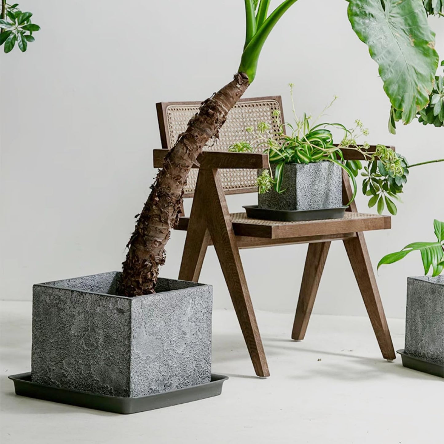 Square Plant Saucer 10 Inch 5 Pack, Plastic Plant Water Dray Tray Plants, Pot Saucers for Plants Square Planters for Indoors and Outdoors Plants, Garden Saucer for Plant Pots.