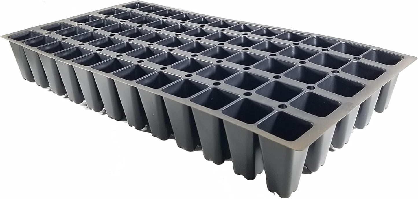 San Jose Juniper | 20 Live Plants | Juniperus Chinensis | Bonsai Drought Tolerant Cold Hardy Evergreen Groundcover