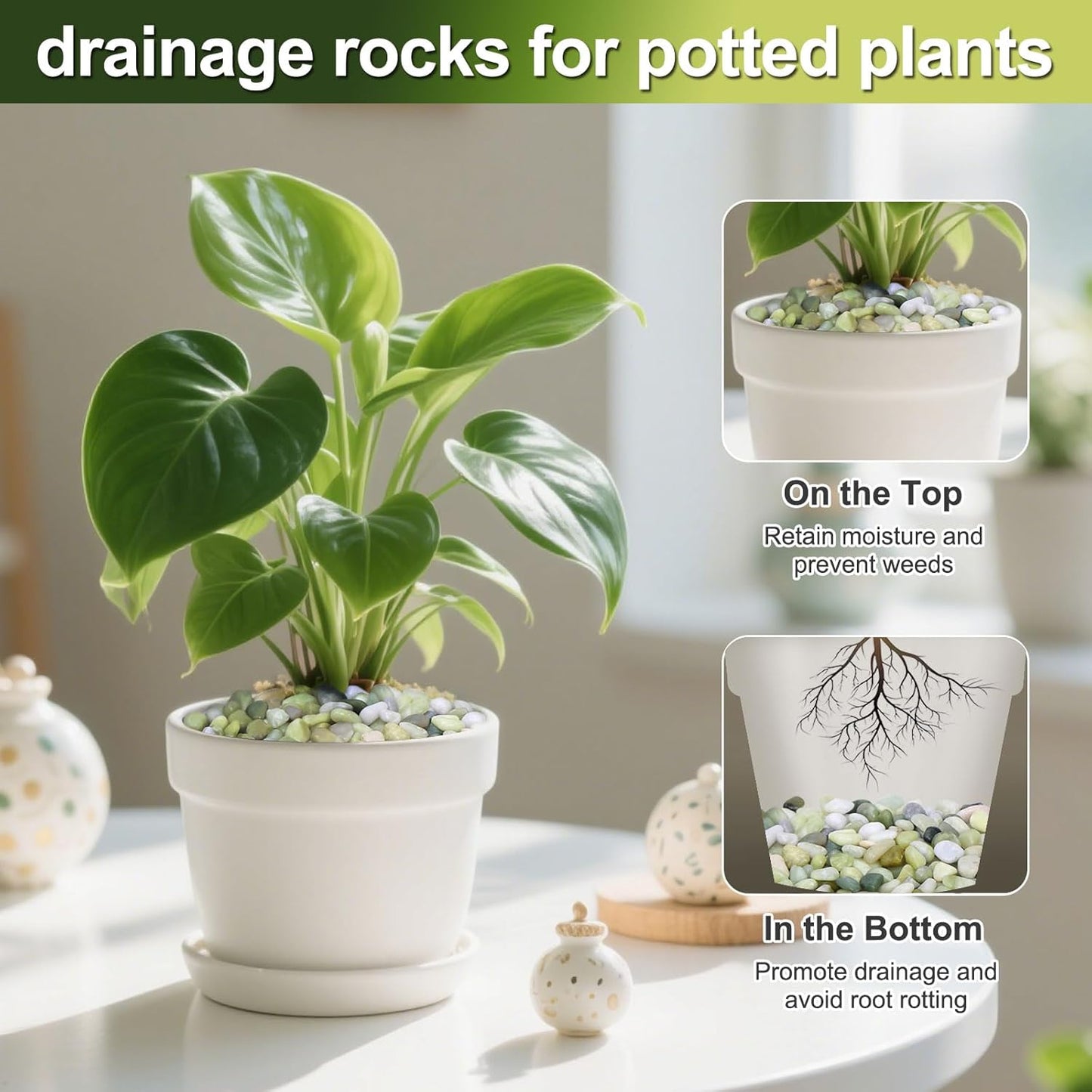 5lb 3/8 Inch Bamboo Pebbles for Indoor Plants, Lucky Bamboo Pot, Succulent, Vases, Cactus, Landscaping - Decorative Polished Plant Pebbles for Pots, Jade