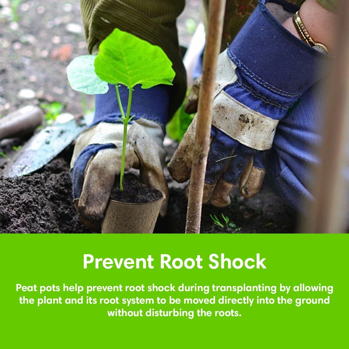 Seedling Starter Kit Germination Grow Cups and Soil (10 Pack) Biodegradable Peat Pots, Coco Coir Soil Discs, Plant Markers - Organic Grow Kit for Seed Germination, Indoor/Outdoor (2)