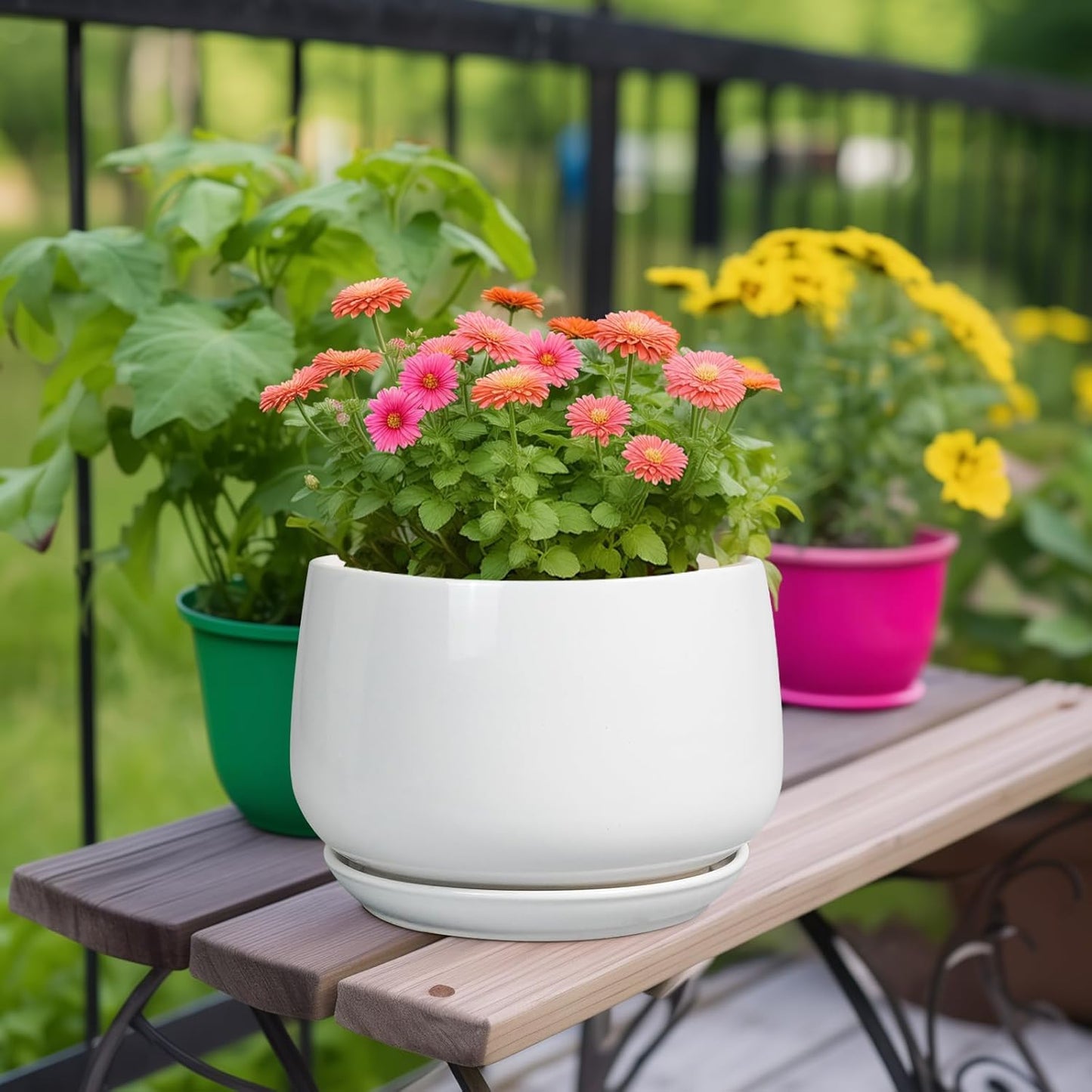 G EPGardening Ceramic Planter 9 Inch - Plant Pots with Drainage and Ceramic Saucer, Flower Pots for Indoor Plants, Modern Outdoor Planter, Living Room Decor, Gifts for Plant Lovers, White