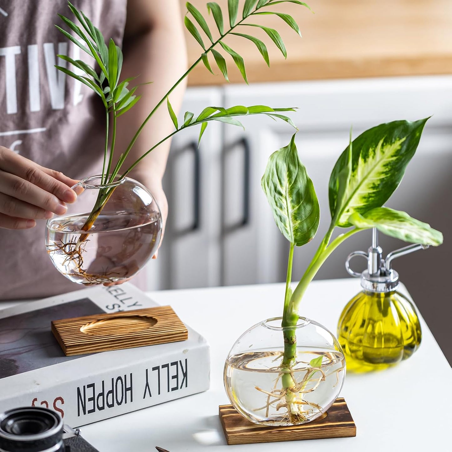 Glass Planter Propagation Station with Wooden Base - Clear Oblate Hydroponic Vase, Decorative Desktop Flower Vase for Home, Office, Windowsill - Gift for Plant Lovers (2)